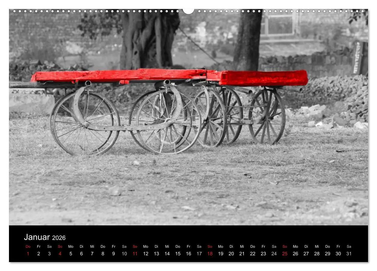 Bild: 9783516216998 | Blickfang in Rot (Wandkalender 2026 DIN A2 quer), CALVENDO...
