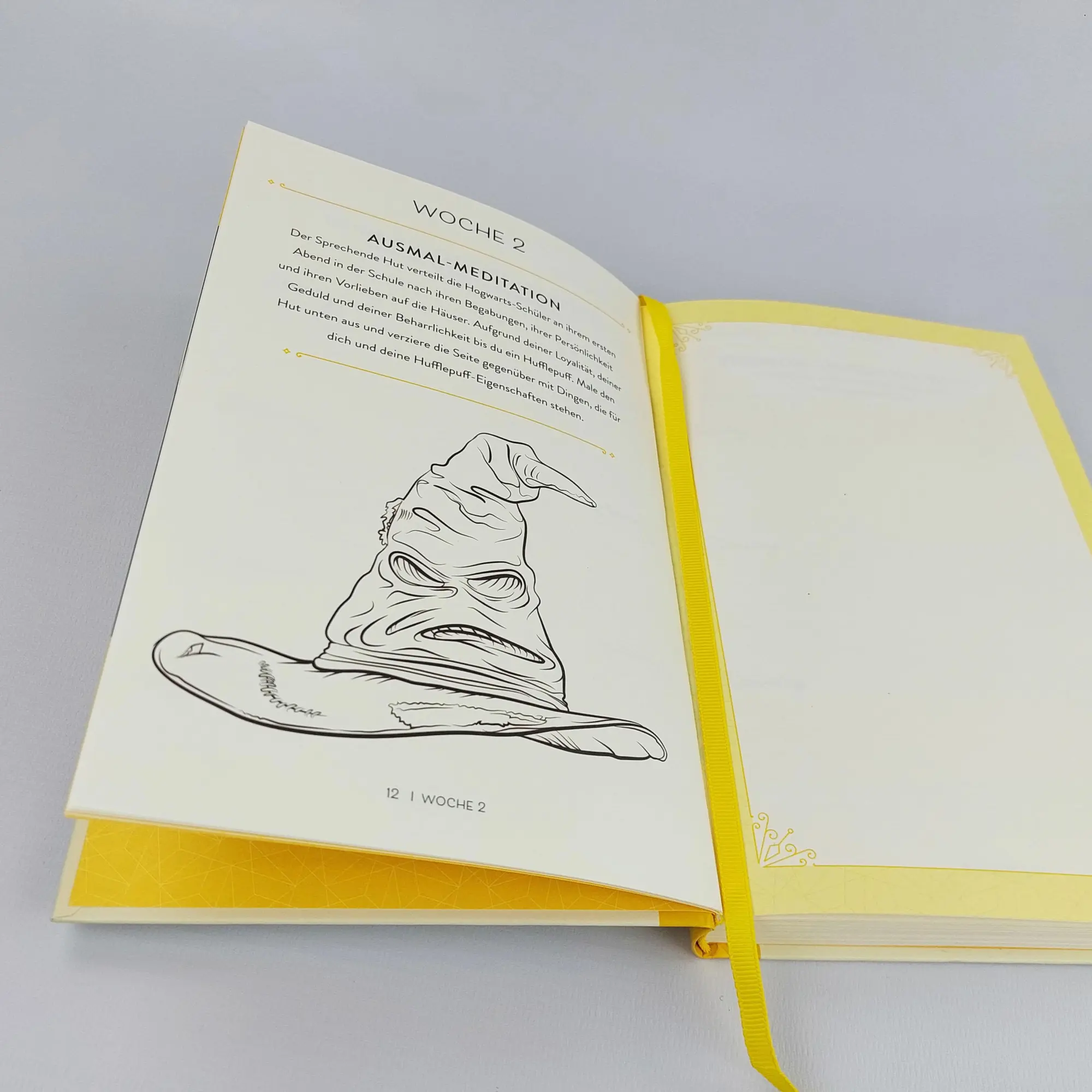 Bild: 9783742316998 | Harry Potter: Loyal wie ein Hufflepuff | Wizarding World | Buch | 2021