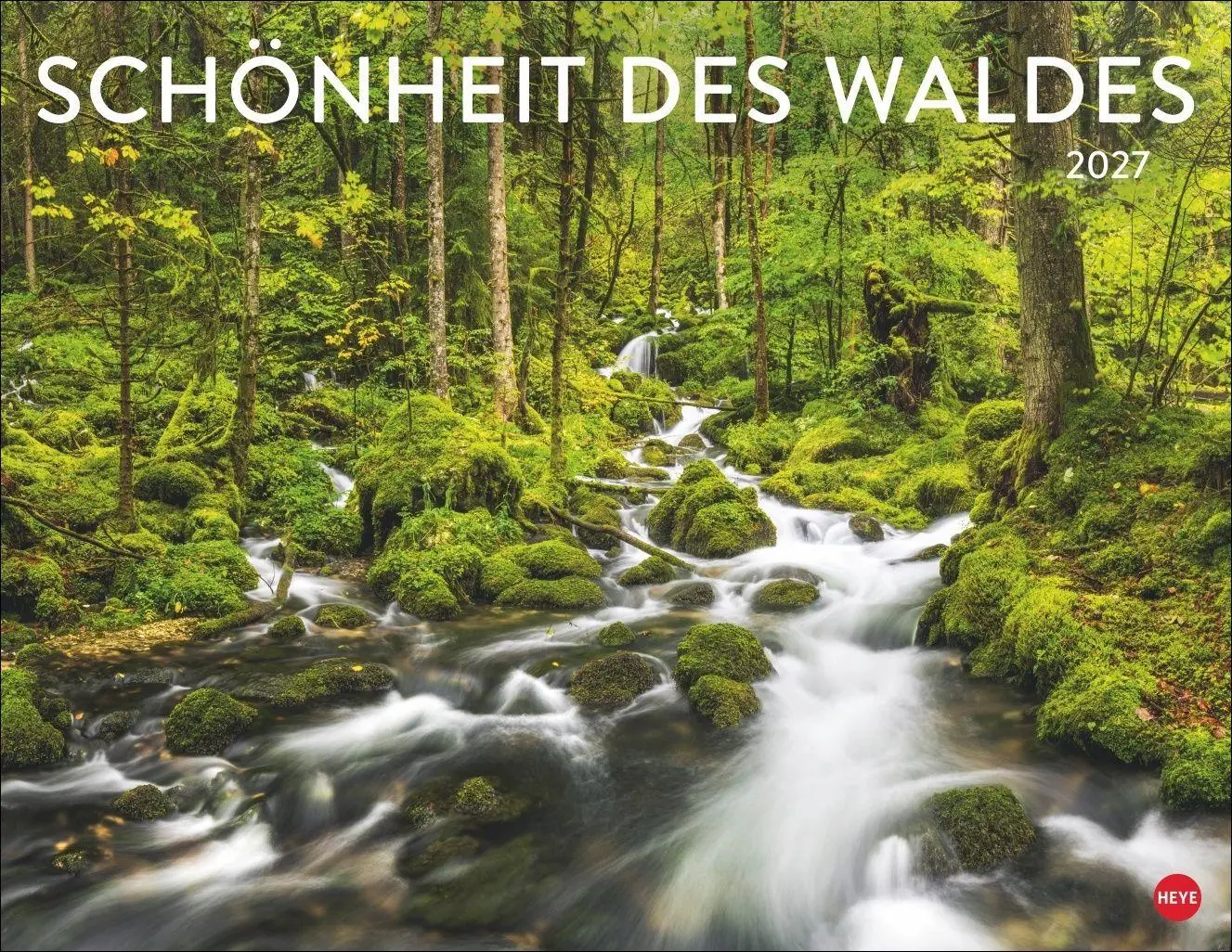 Cover: 9783756416998 | Schönheit des Waldes Posterkalender 2027 | Kalender | 14 S. | Deutsch
