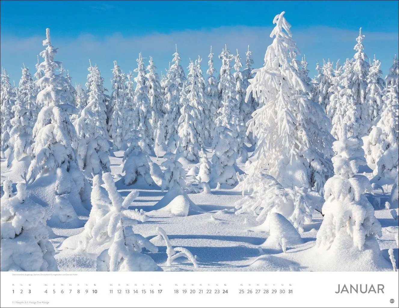 Bild: 9783756416998 | Schönheit des Waldes Posterkalender 2027 | Kalender | 14 S. | Deutsch