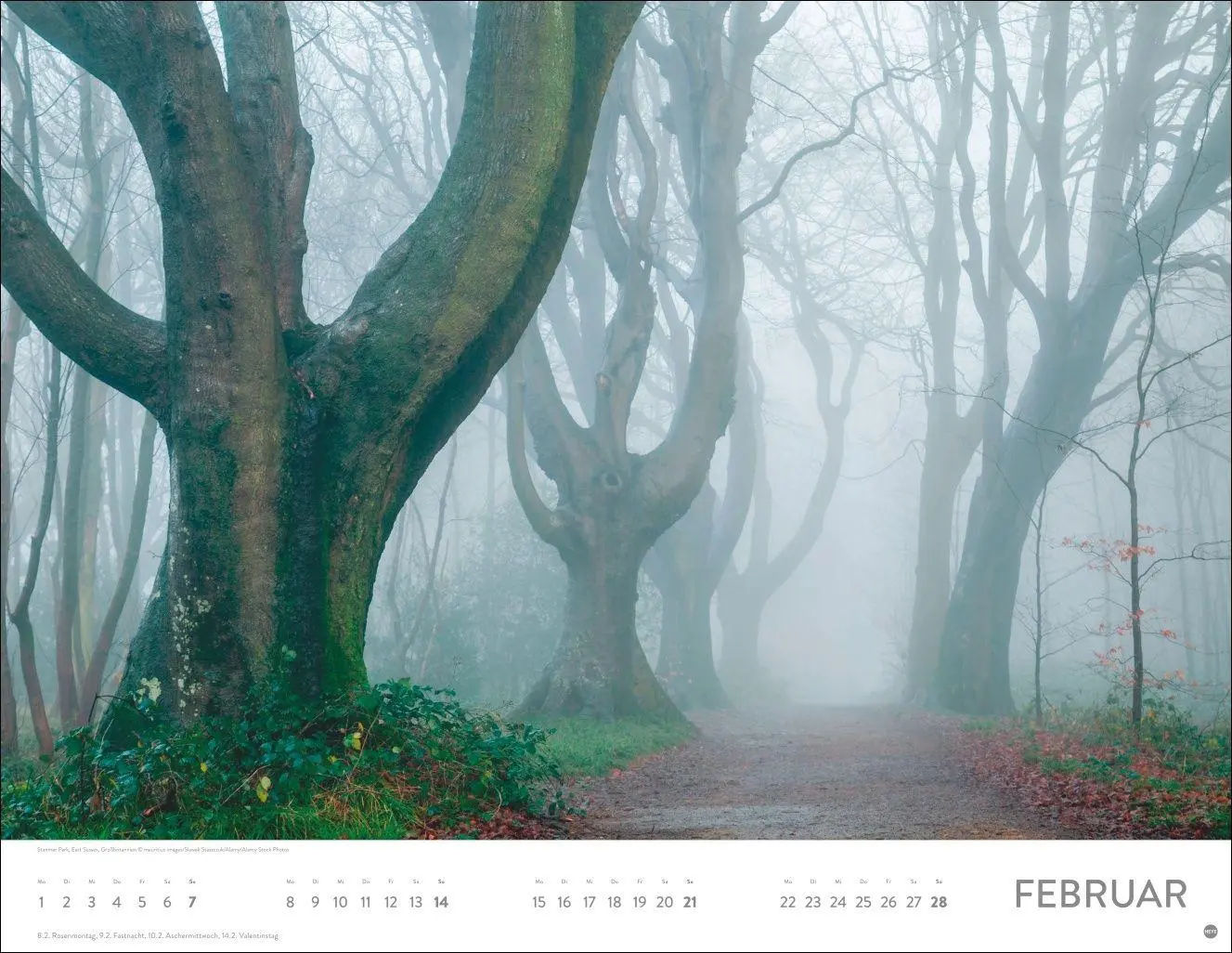 Bild: 9783756416998 | Schönheit des Waldes Posterkalender 2027 | Kalender | 14 S. | Deutsch