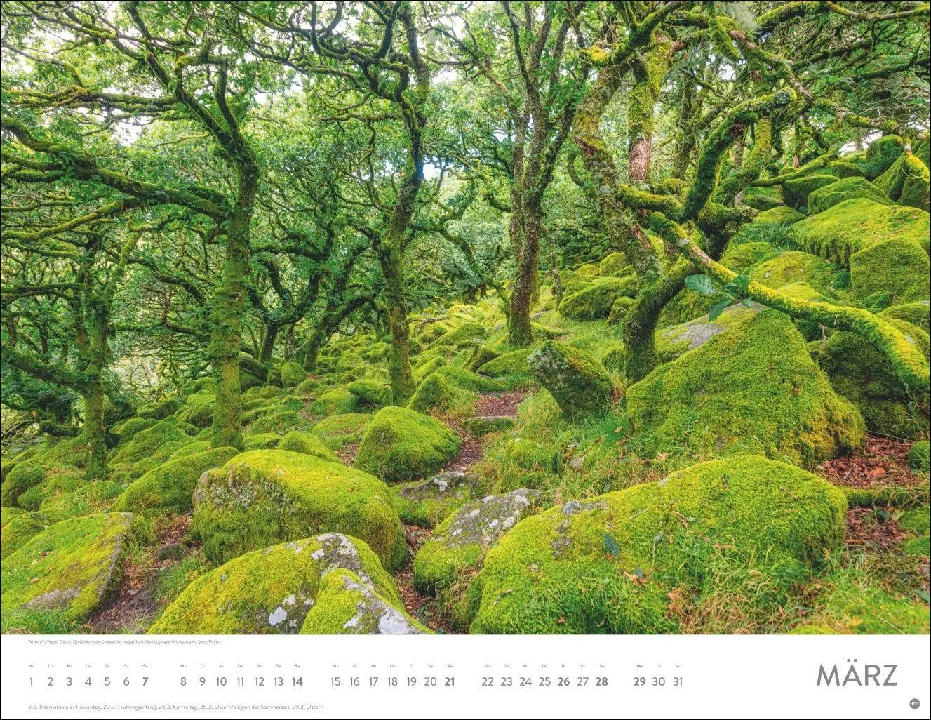 Bild: 9783756416998 | Schönheit des Waldes Posterkalender 2027 | Kalender | 14 S. | Deutsch