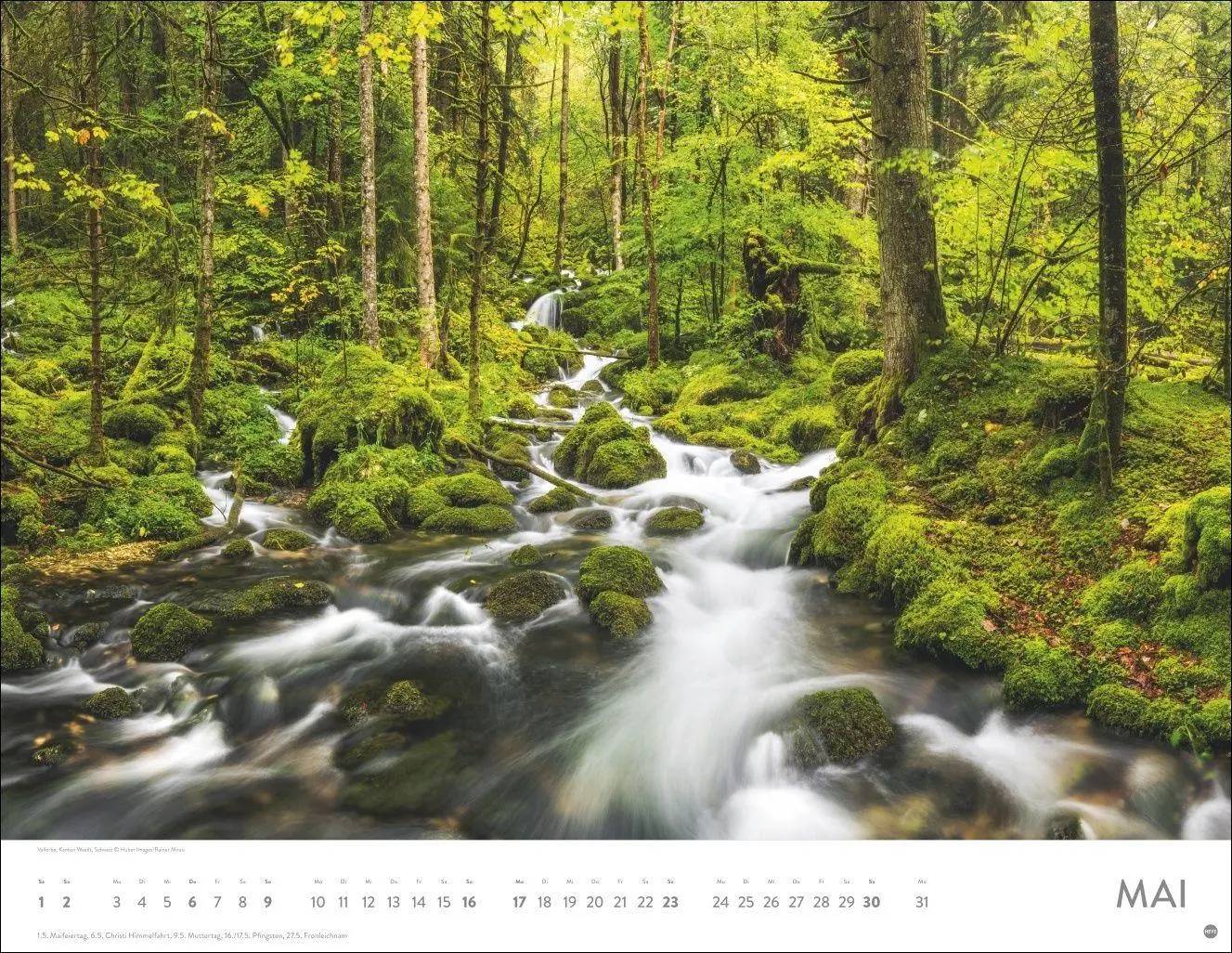 Bild: 9783756416998 | Schönheit des Waldes Posterkalender 2027 | Kalender | 14 S. | Deutsch