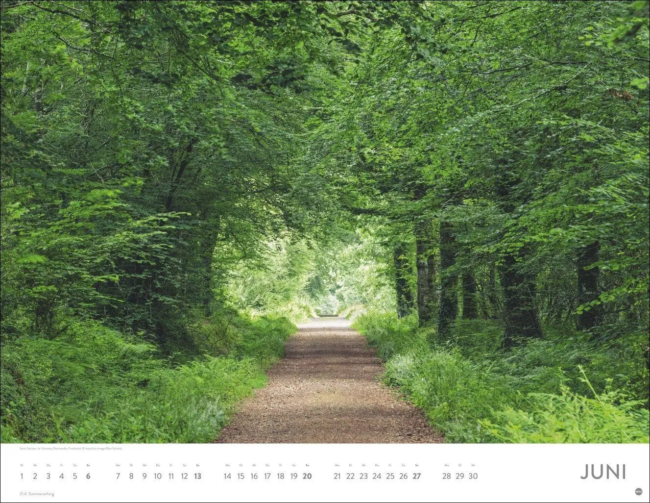 Bild: 9783756416998 | Schönheit des Waldes Posterkalender 2027 | Kalender | 14 S. | Deutsch