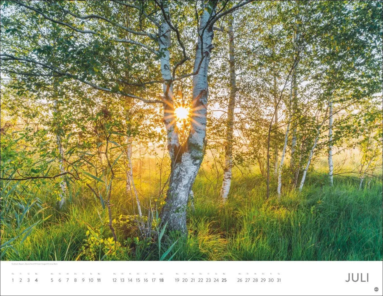 Bild: 9783756416998 | Schönheit des Waldes Posterkalender 2027 | Kalender | 14 S. | Deutsch