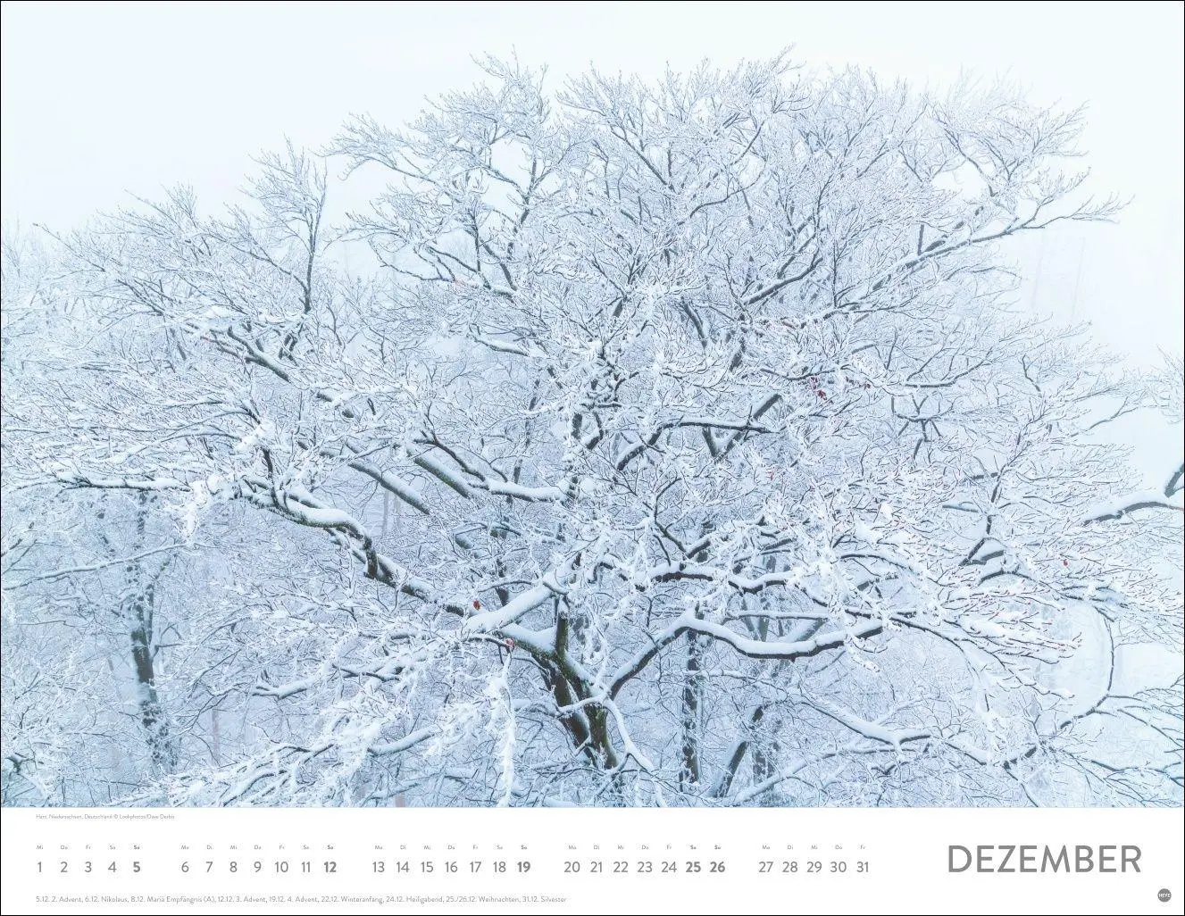 Bild: 9783756416998 | Schönheit des Waldes Posterkalender 2027 | Kalender | 14 S. | Deutsch