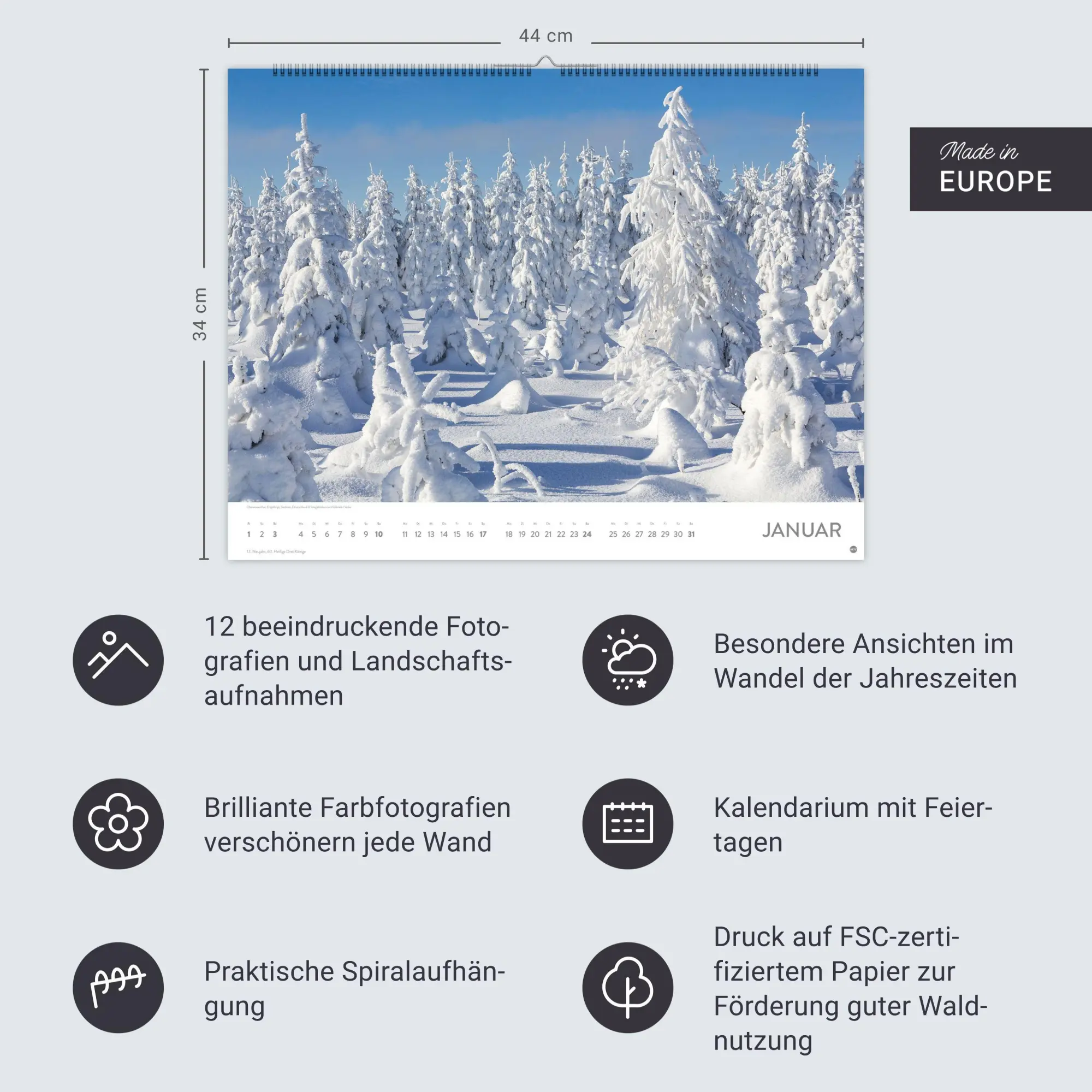 Bild: 9783756416998 | Schönheit des Waldes Posterkalender 2027 | Kalender | 14 S. | Deutsch
