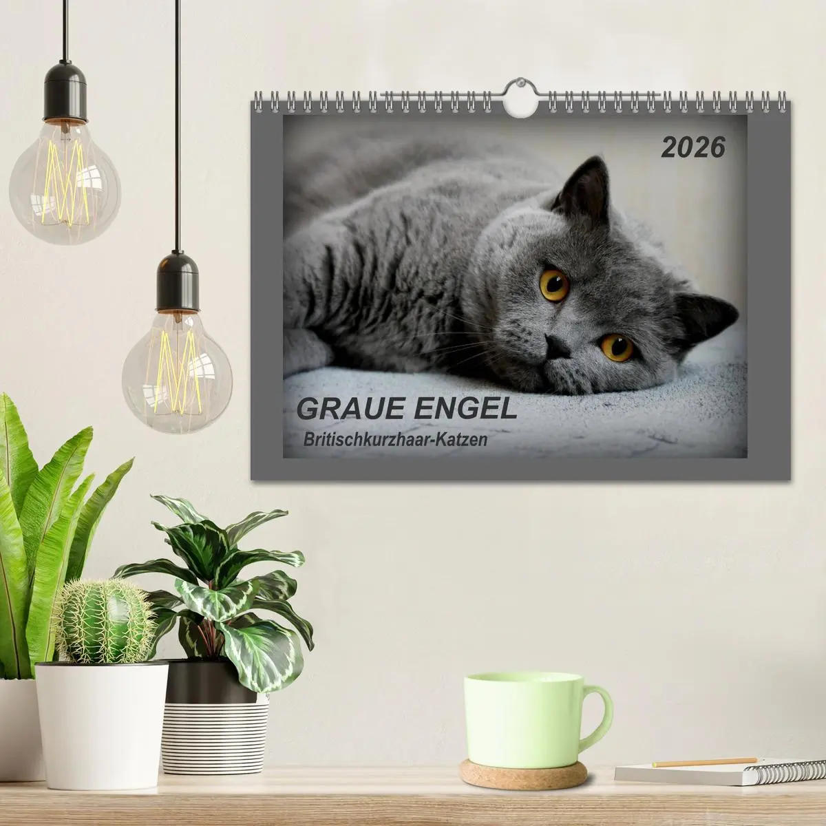 Bild: 9783457877098 | GRAUE ENGEL Britischkurzhaar-Katzen (Wandkalender 2026 DIN A4...
