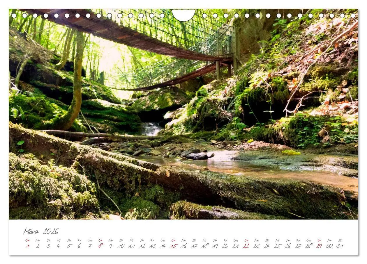 Bild: 9783516037098 | Erlebnis Eifel (Wandkalender 2026 DIN A4 quer), CALVENDO...