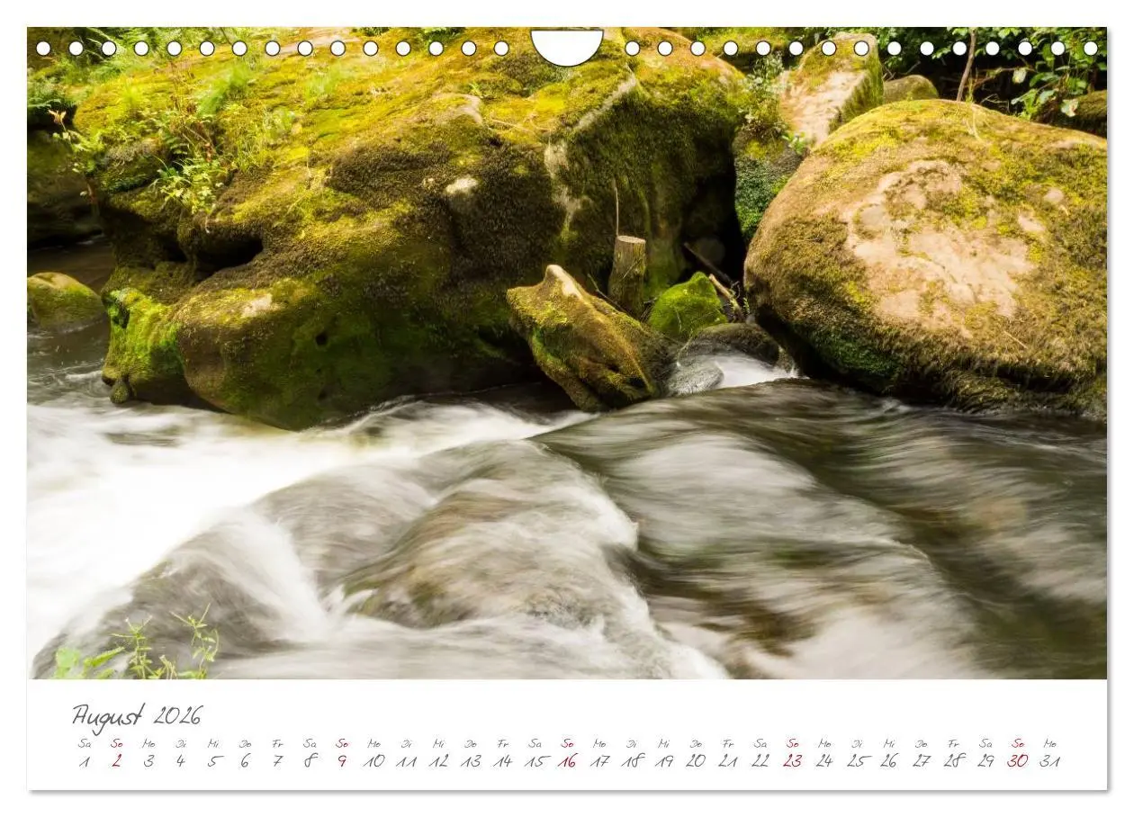 Bild: 9783516037098 | Erlebnis Eifel (Wandkalender 2026 DIN A4 quer), CALVENDO...