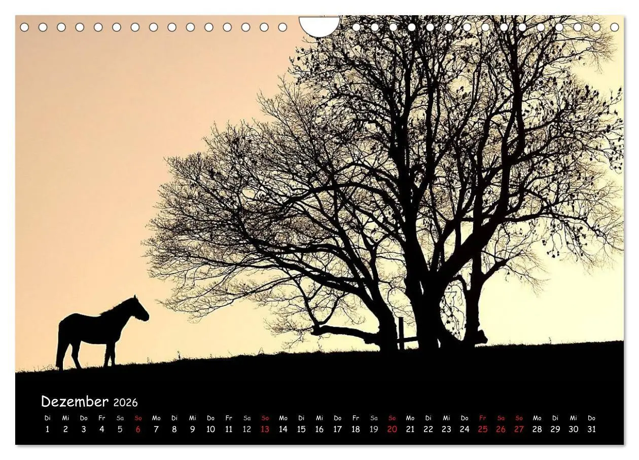 Bild: 9783516107098 | Billerbeck - Perle der Baumberge (Wandkalender 2026 DIN A4 quer),...