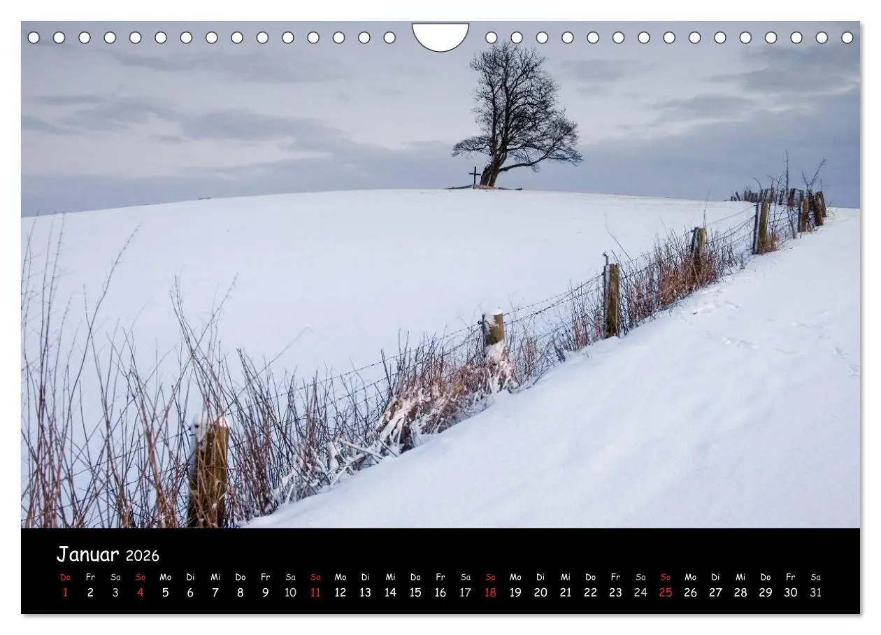 Bild: 9783516107098 | Billerbeck - Perle der Baumberge (Wandkalender 2026 DIN A4 quer),...