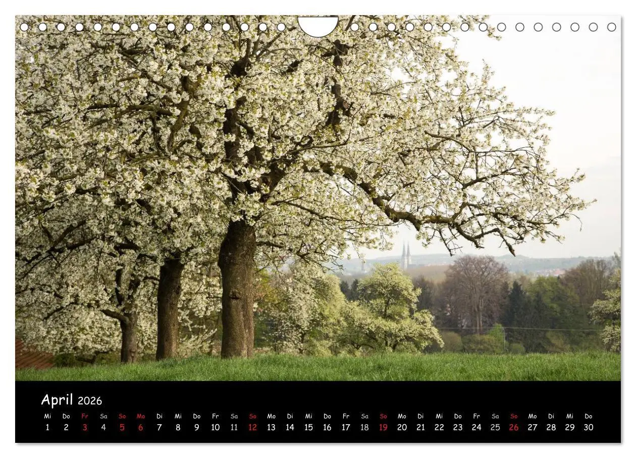Bild: 9783516107098 | Billerbeck - Perle der Baumberge (Wandkalender 2026 DIN A4 quer),...
