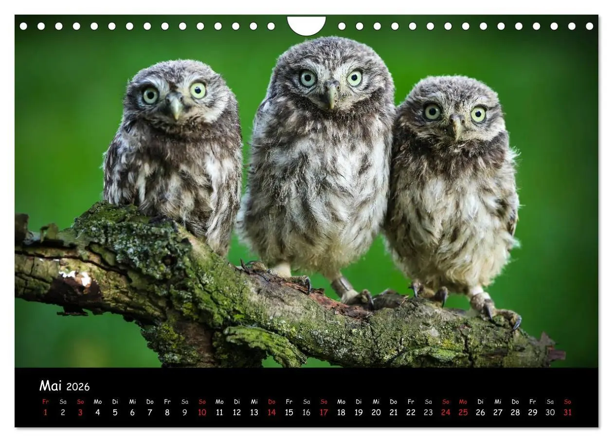 Bild: 9783516107098 | Billerbeck - Perle der Baumberge (Wandkalender 2026 DIN A4 quer),...