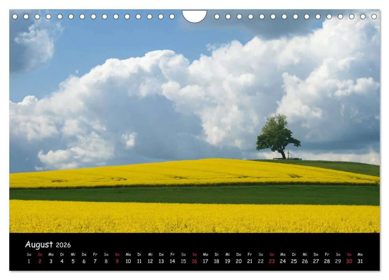 Bild: 9783516107098 | Billerbeck - Perle der Baumberge (Wandkalender 2026 DIN A4 quer),...