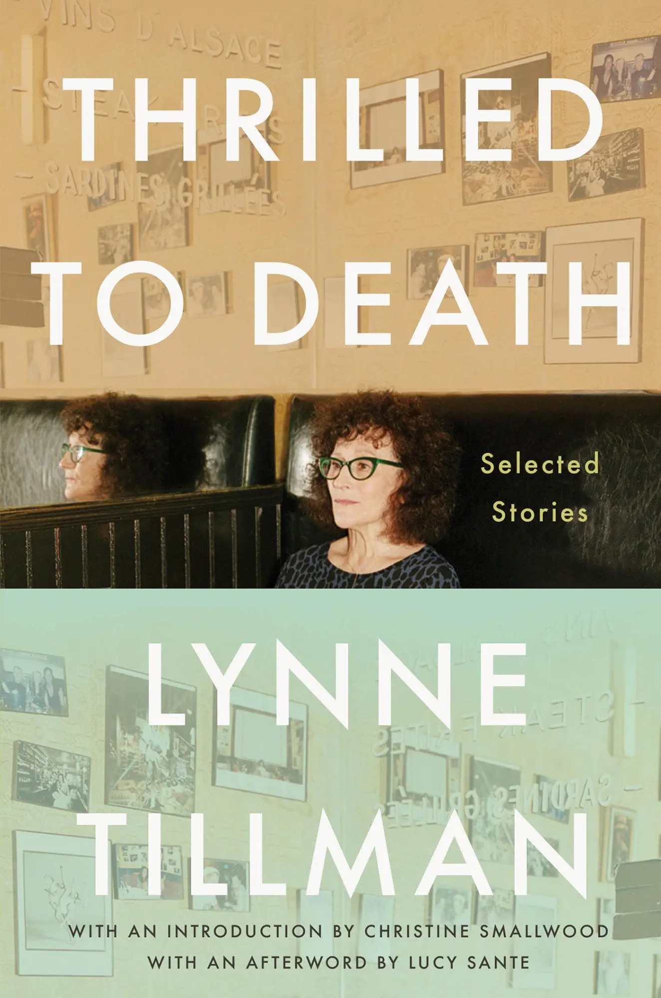 Cover: 9781593767198 | Thrilled to Death | Selected Stories | Lynne Tillman | Buch | Englisch