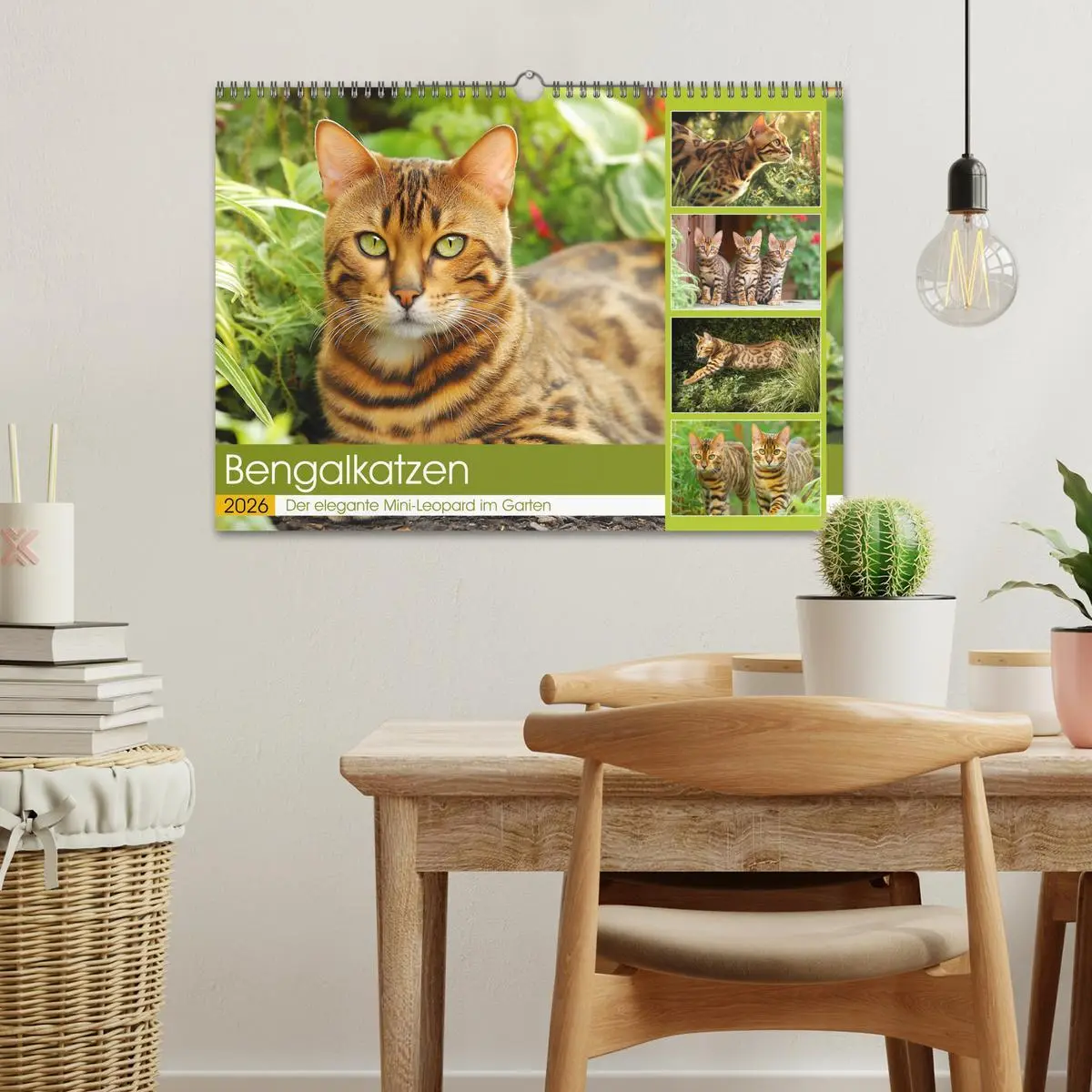 Bild: 9783516027198 | Bengalkatzen. Der elegante Mini-Leopard im Garten (Wandkalender...