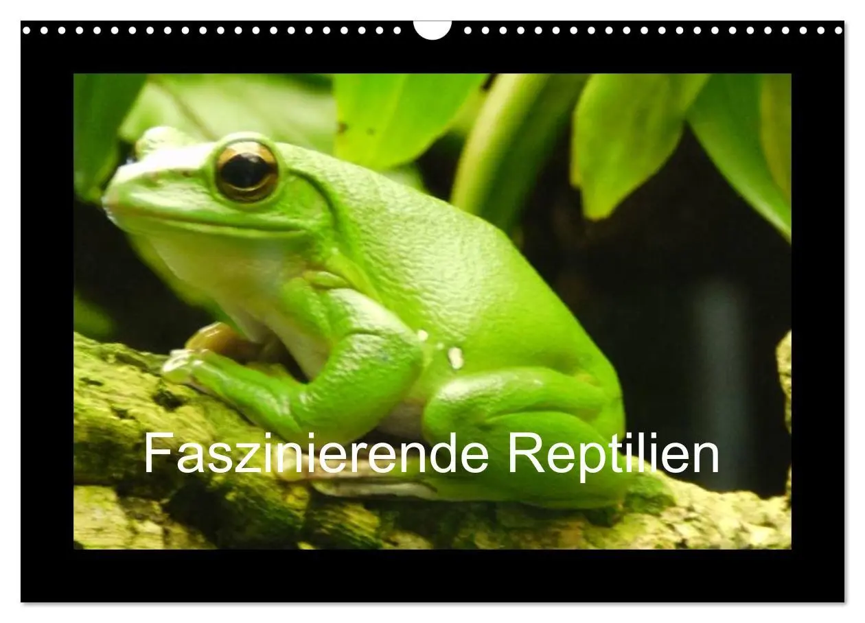 Cover: 9783516197198 | Faszinierende Reptilien (Wandkalender 2026 DIN A3 quer), CALVENDO...