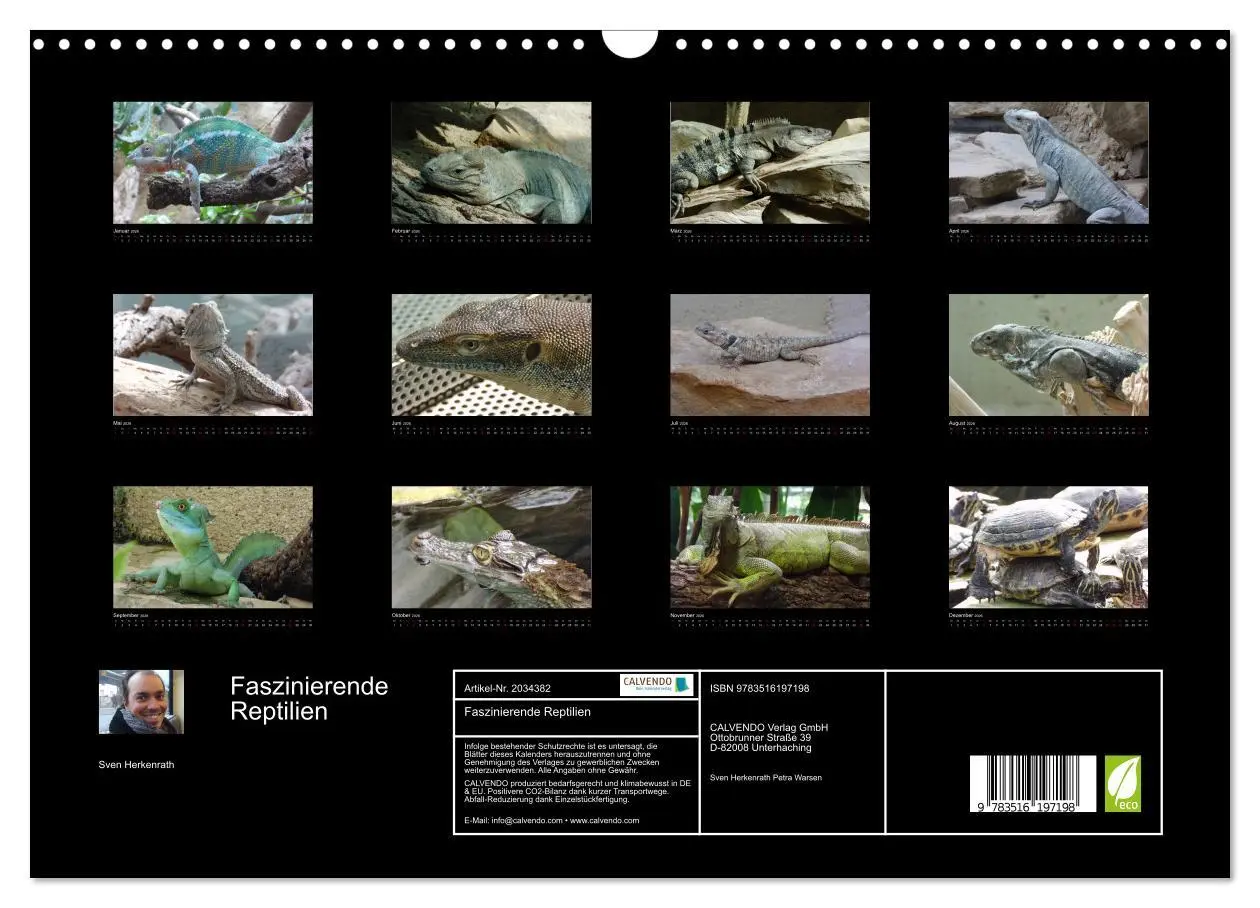 Bild: 9783516197198 | Faszinierende Reptilien (Wandkalender 2026 DIN A3 quer), CALVENDO...