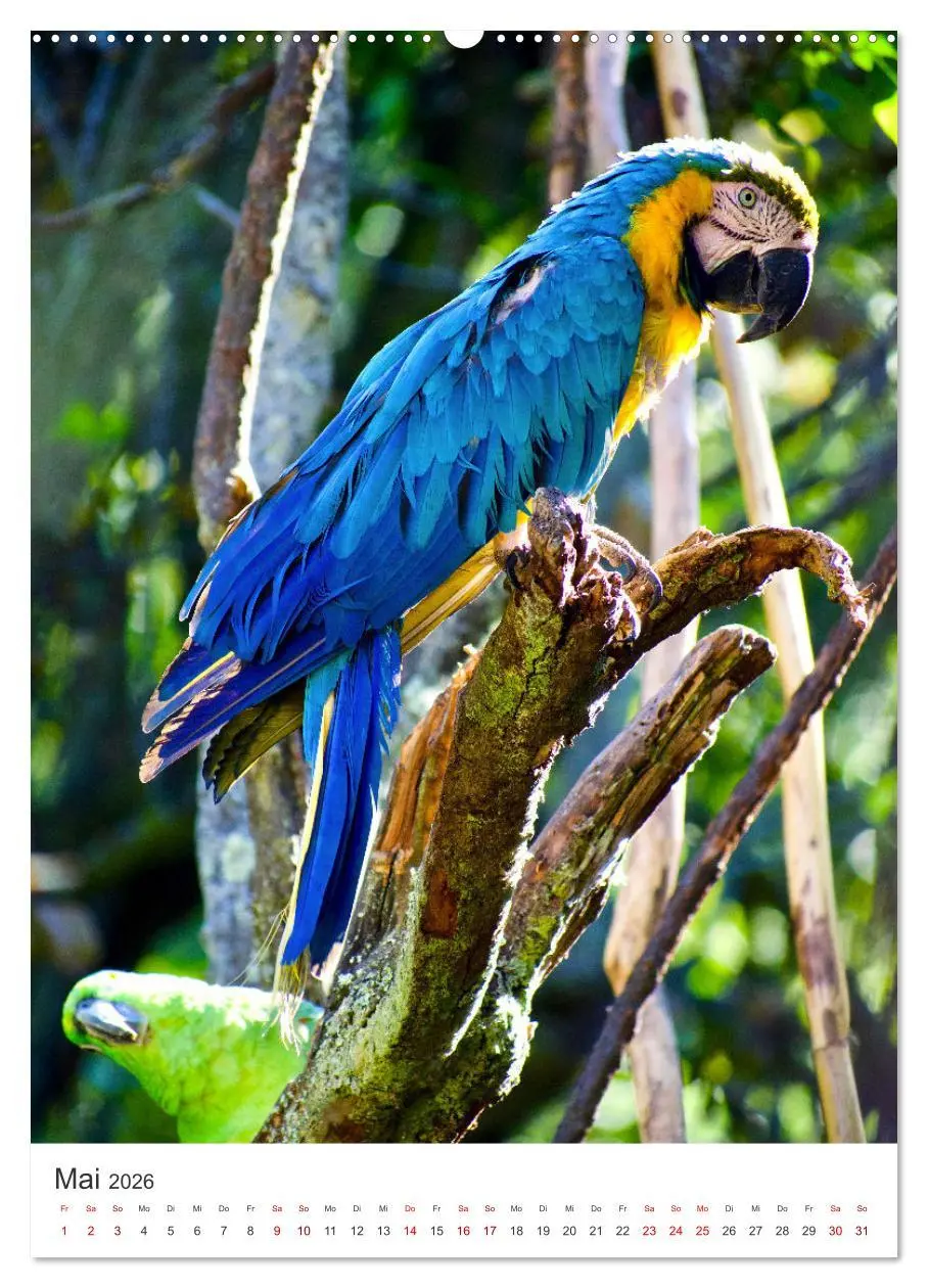 Bild: 9783516337198 | Eine Abenteuerreise durch Peru (hochwertiger Premium Wandkalender...
