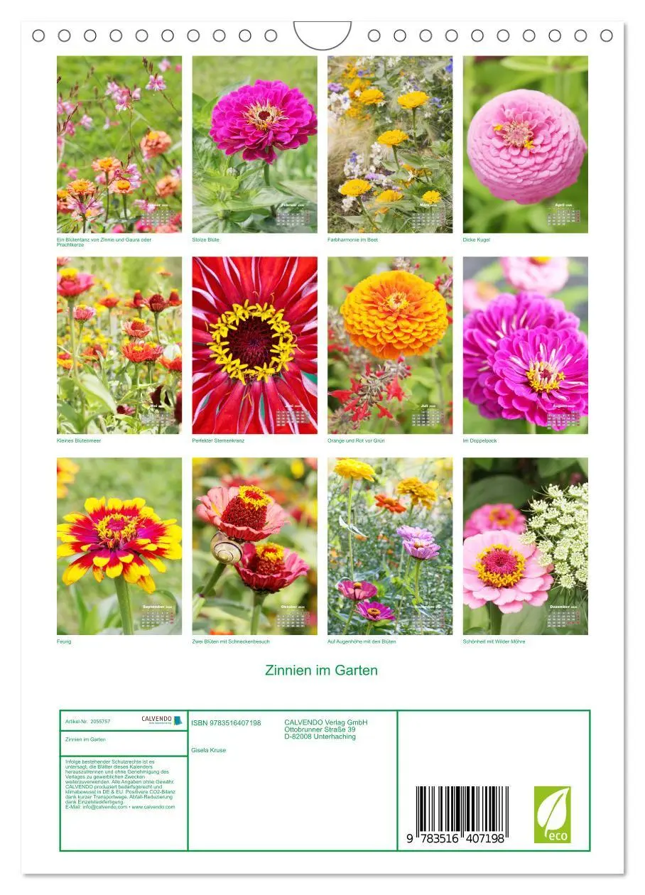 Bild: 9783516407198 | Zinnien im Garten (Wandkalender 2026 DIN A4 hoch), CALVENDO...