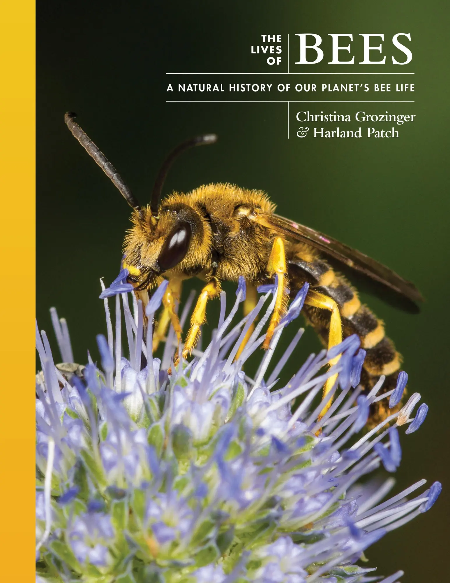 Cover: 9780691247298 | The Lives of Bees | A Natural History of Our Planet's Bee Life | Buch