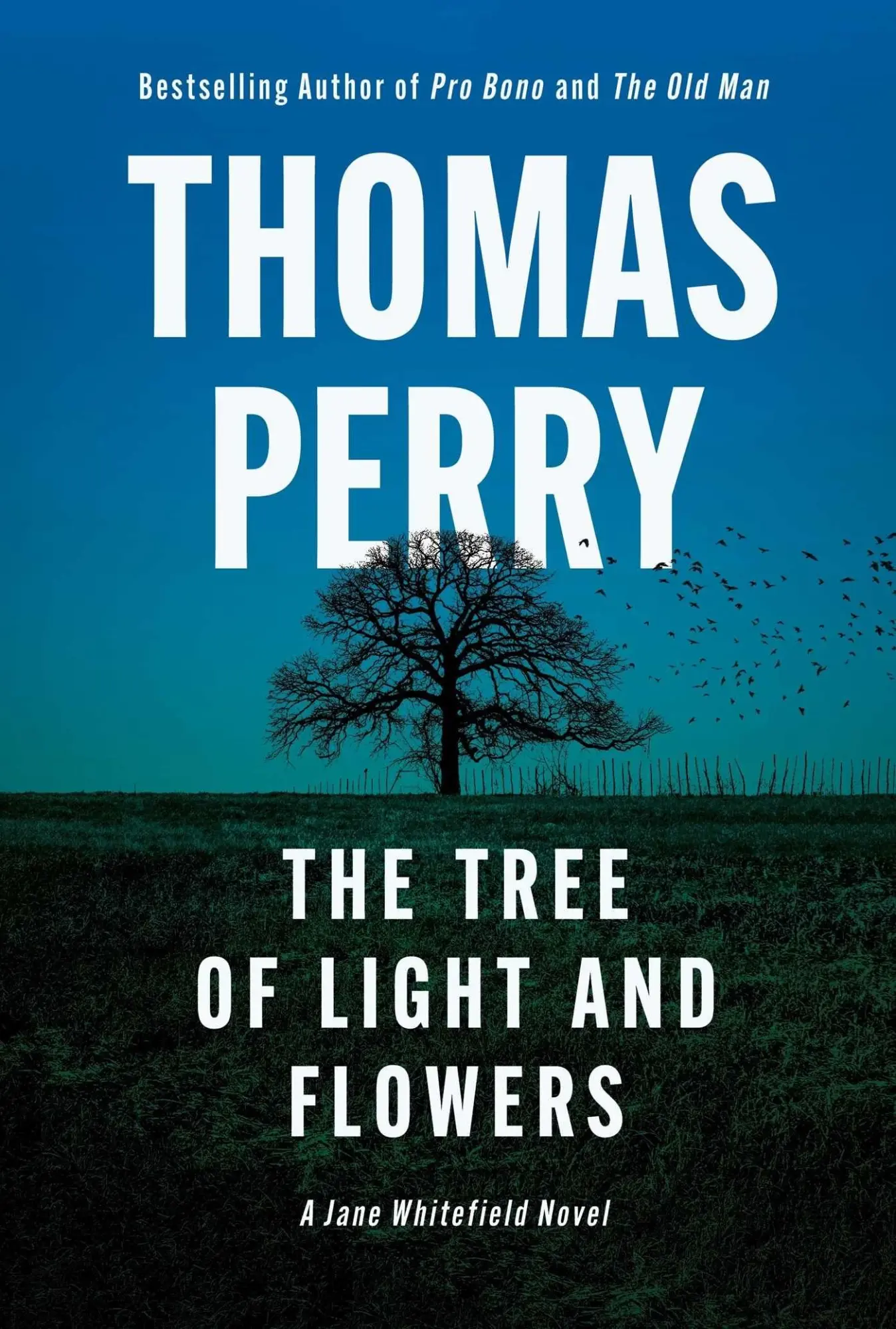 Cover: 9781613167298 | The Tree of Light and Flowers | Thomas Perry | Buch | Englisch | 2026
