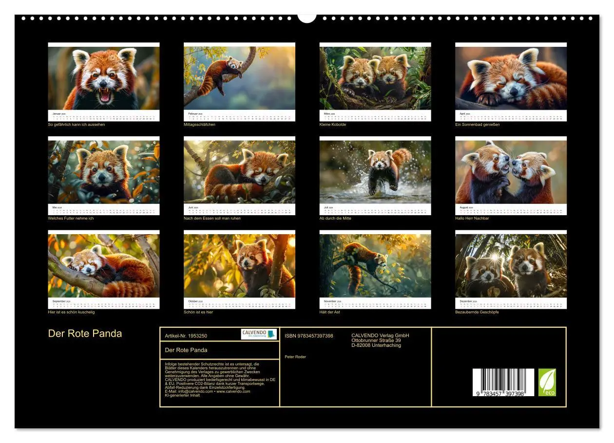 Bild: 9783457397398 | Der Rote Panda (hochwertiger Premium Wandkalender 2026 DIN A2...