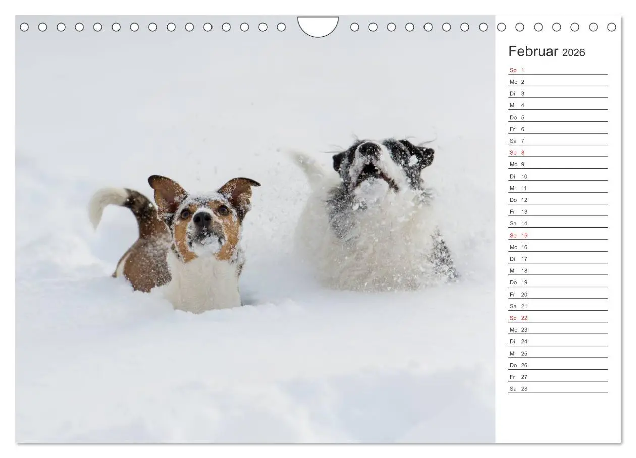 Bild: 9783516007398 | Emotionale Momente: Wild und Jagd. (Wandkalender 2026 DIN A4 quer),...