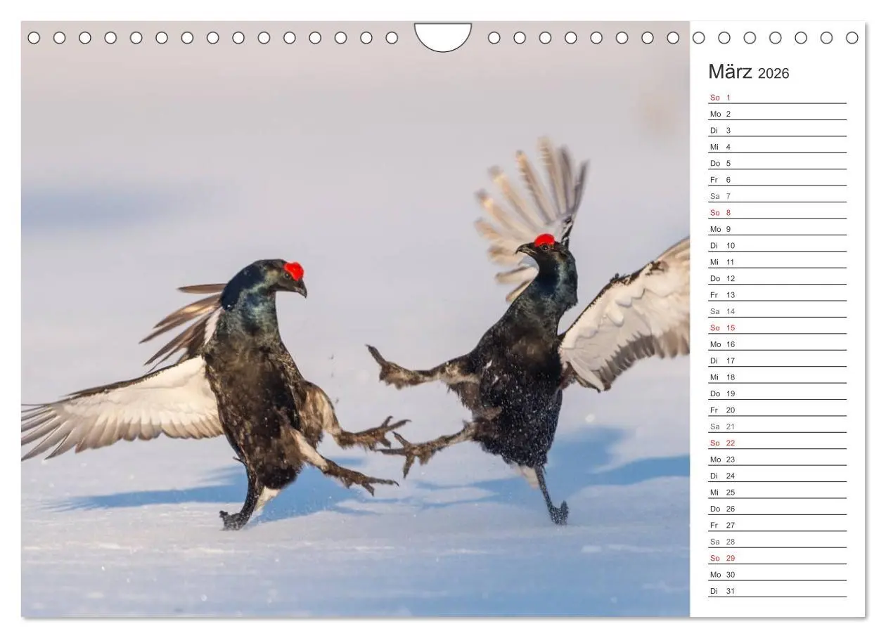Bild: 9783516007398 | Emotionale Momente: Wild und Jagd. (Wandkalender 2026 DIN A4 quer),...