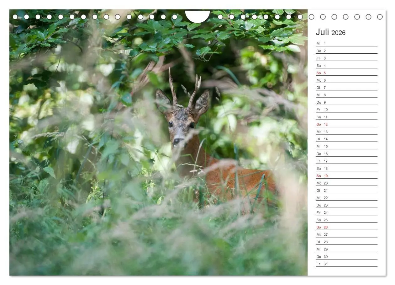 Bild: 9783516007398 | Emotionale Momente: Wild und Jagd. (Wandkalender 2026 DIN A4 quer),...