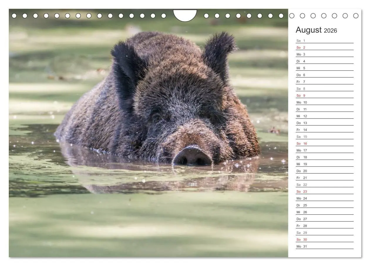 Bild: 9783516007398 | Emotionale Momente: Wild und Jagd. (Wandkalender 2026 DIN A4 quer),...