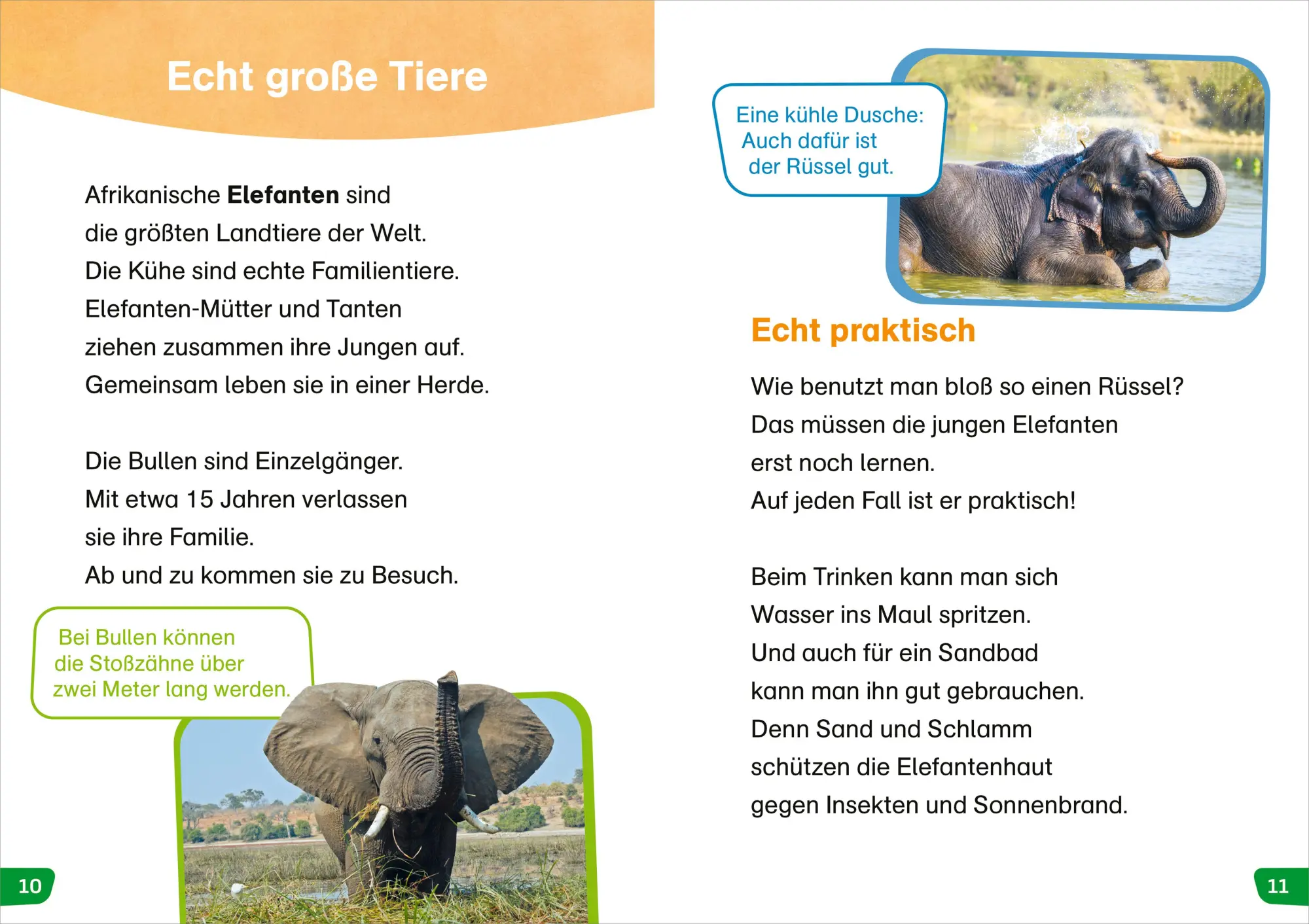 Bild: 9783788677398 | WAS IST WAS Erstes Lesen easy! Tiere in Afrika | Sonja Meierjürgen