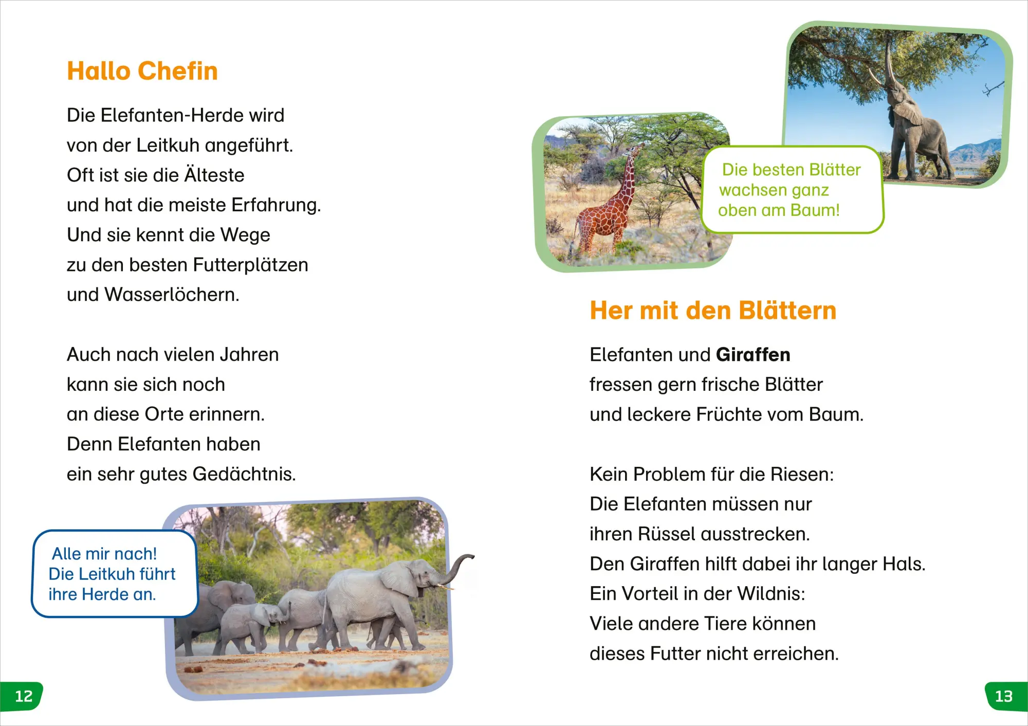 Bild: 9783788677398 | WAS IST WAS Erstes Lesen easy! Tiere in Afrika | Sonja Meierjürgen