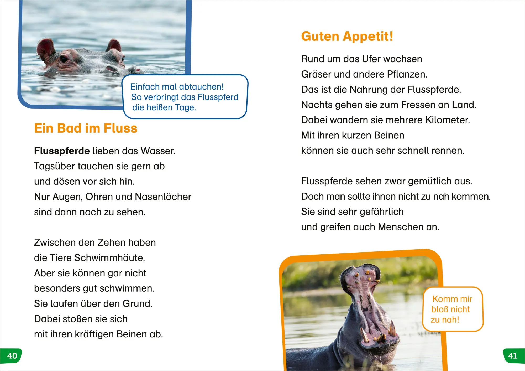 Bild: 9783788677398 | WAS IST WAS Erstes Lesen easy! Tiere in Afrika | Sonja Meierjürgen