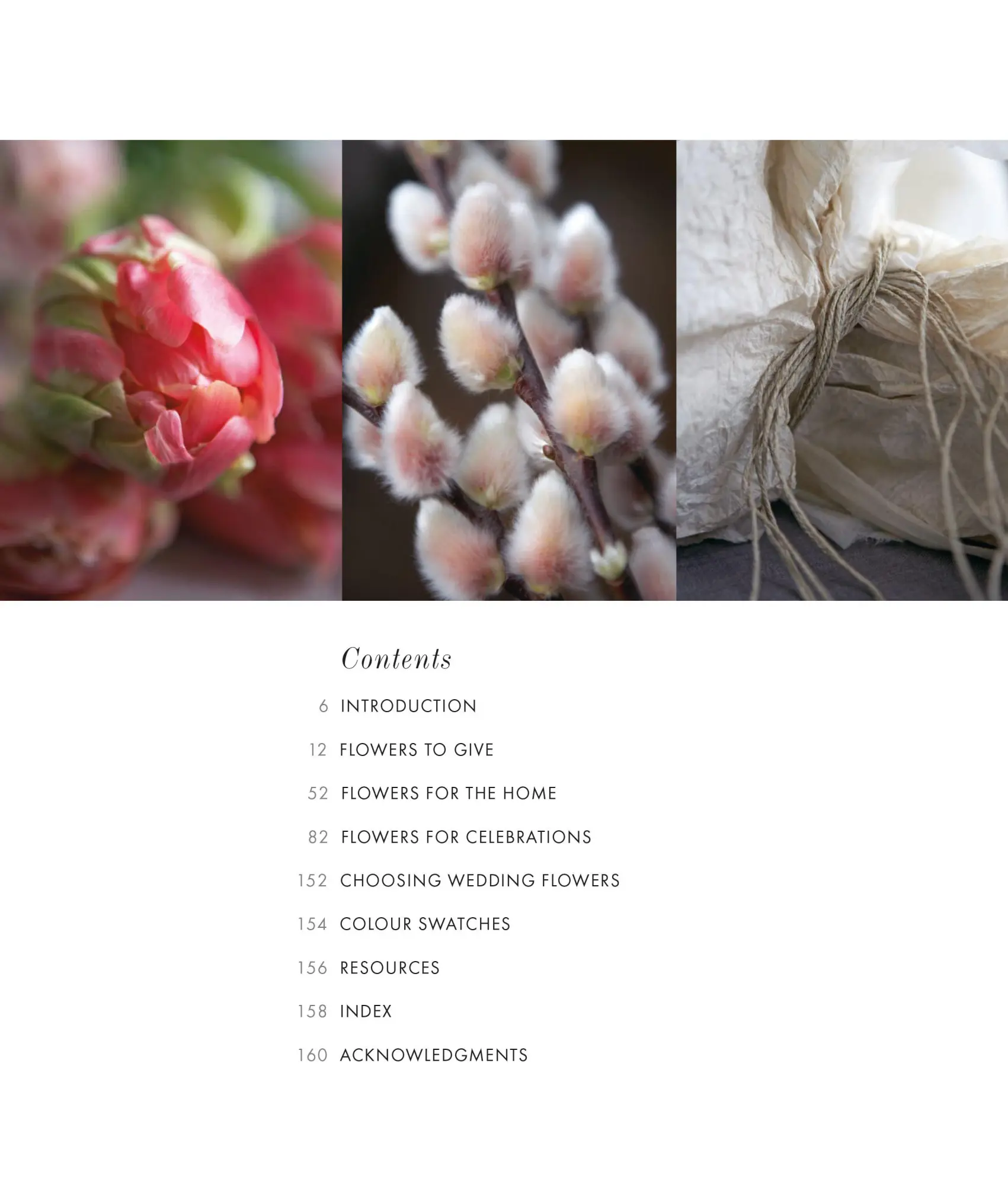 Bild: 9781788797498 | Jane Packer's Flower Course | Jane Packer | Buch | Englisch | 2026