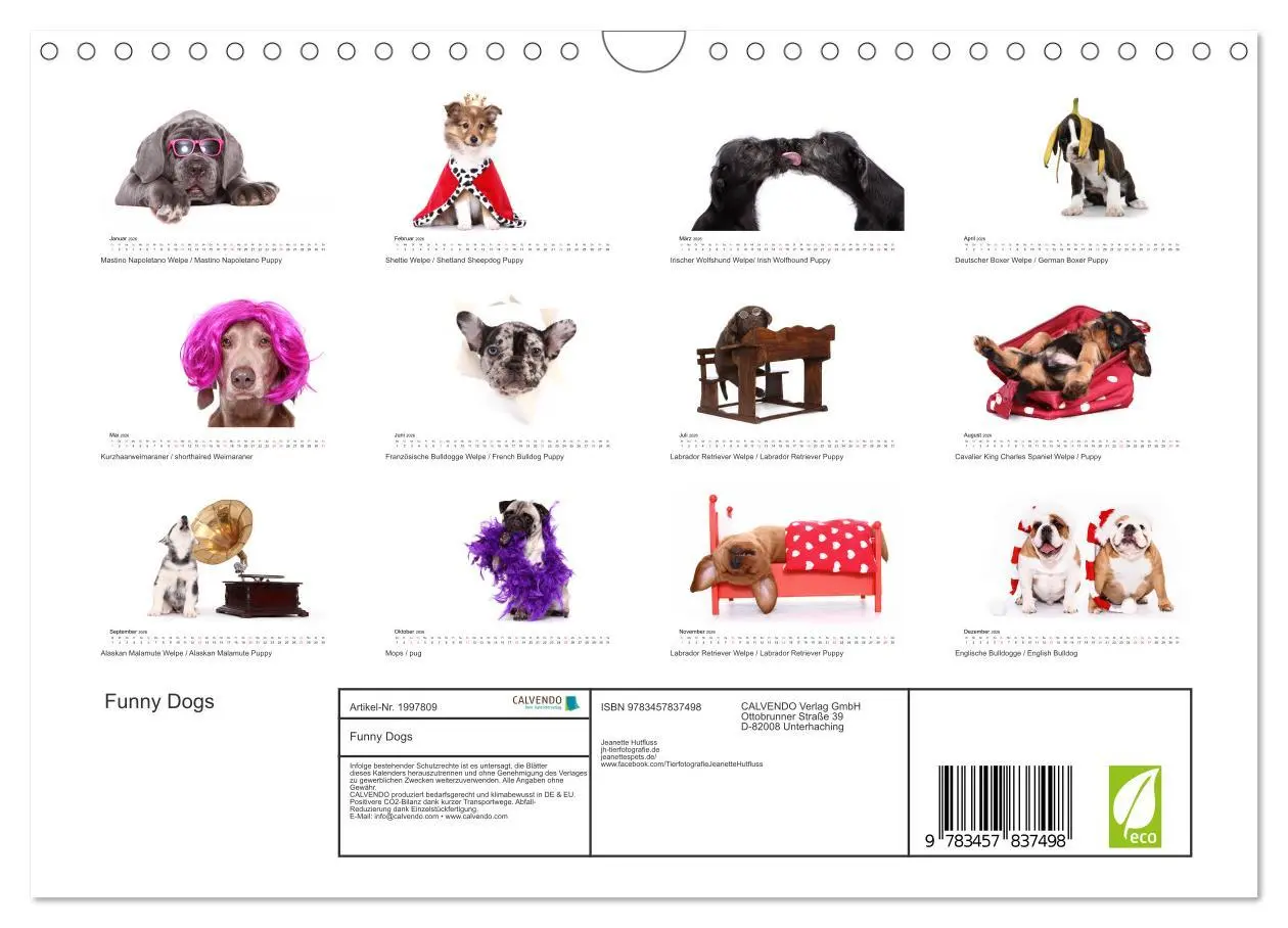 Bild: 9783457837498 | Funny Dogs (Wandkalender 2026 DIN A4 quer), CALVENDO Monatskalender