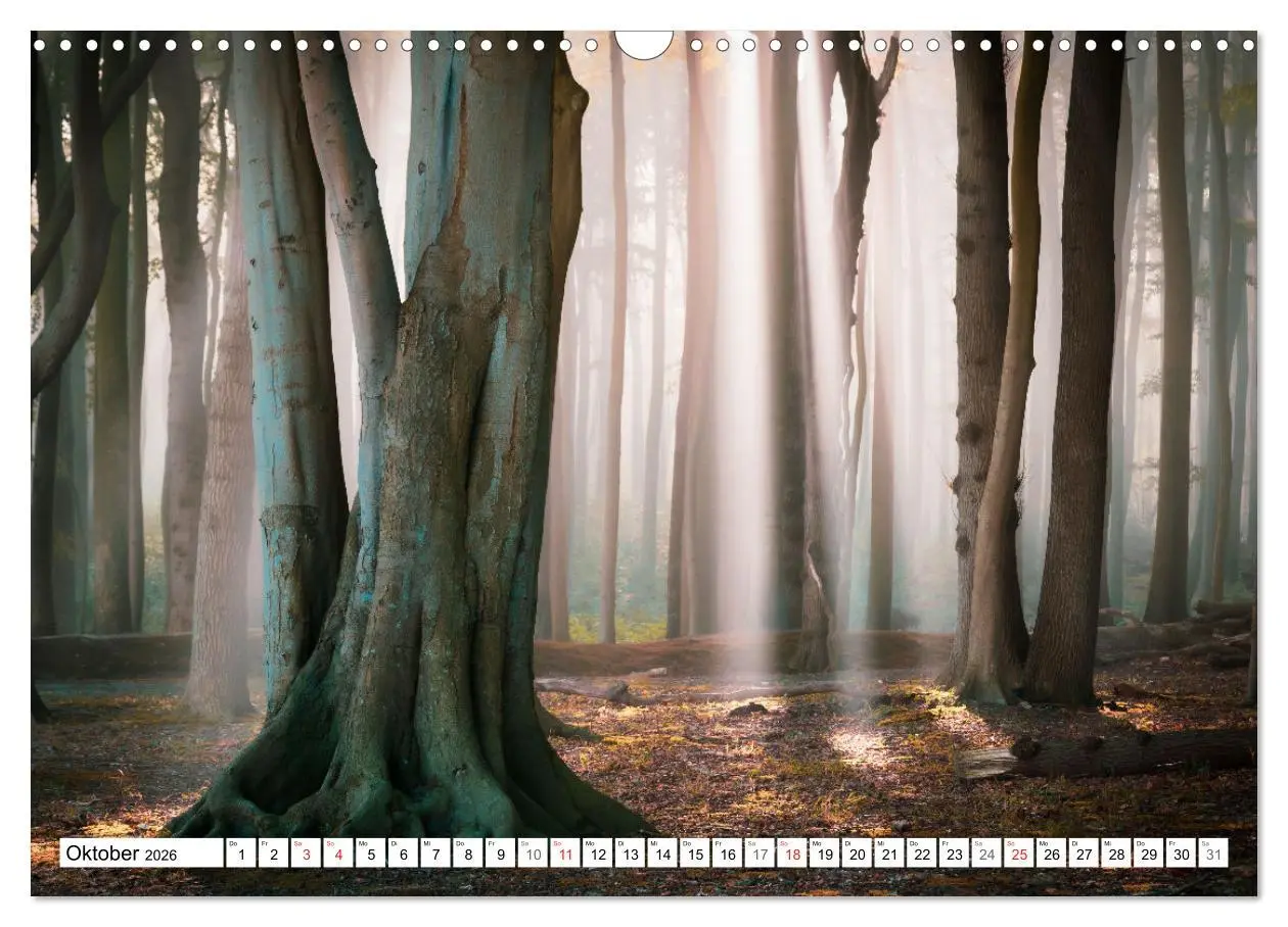Bild: 9783516097498 | Traumhaftes Mecklenburg-Vorpommern (Wandkalender 2026 DIN A3 quer),...