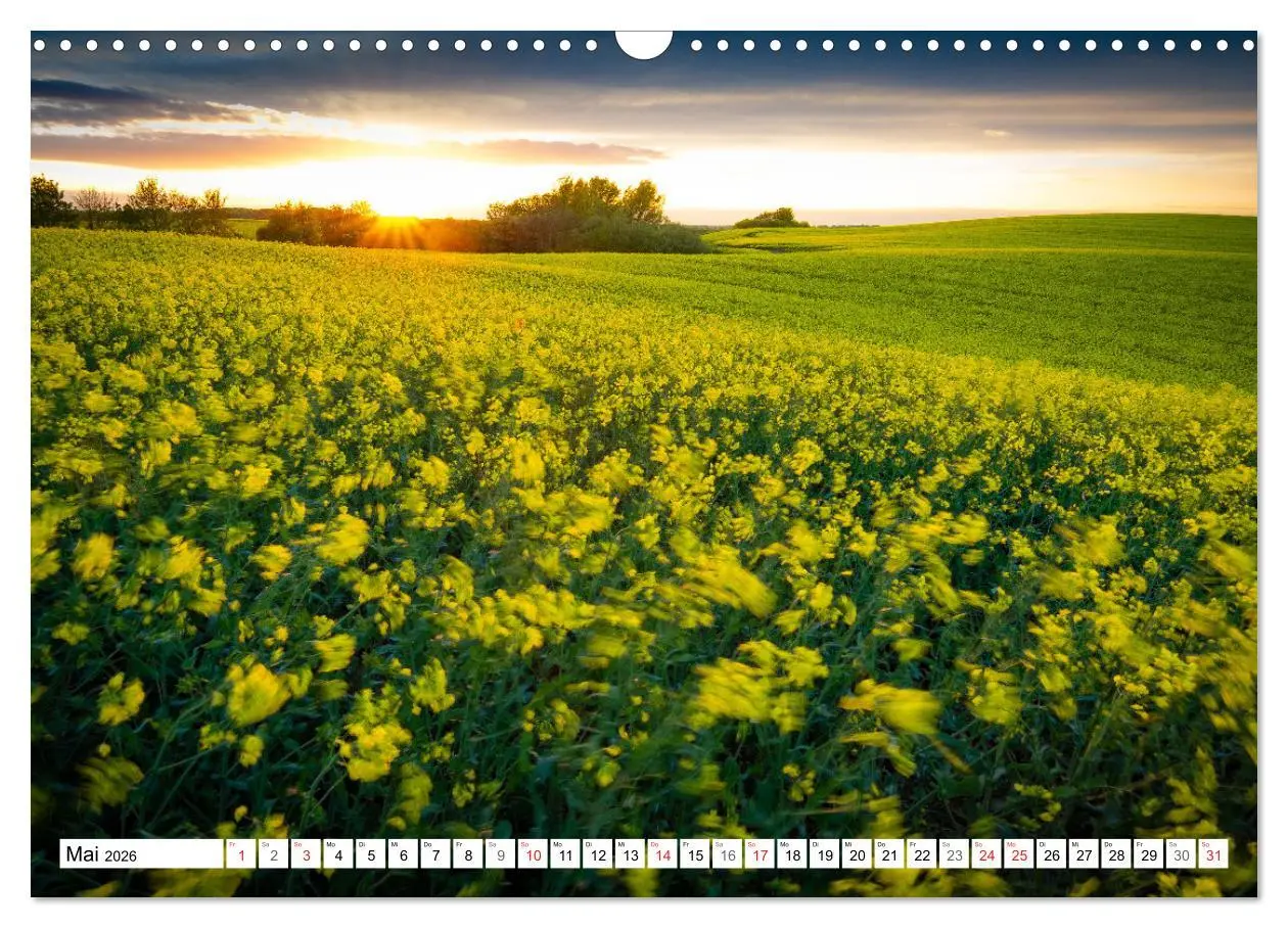 Bild: 9783516097498 | Traumhaftes Mecklenburg-Vorpommern (Wandkalender 2026 DIN A3 quer),...