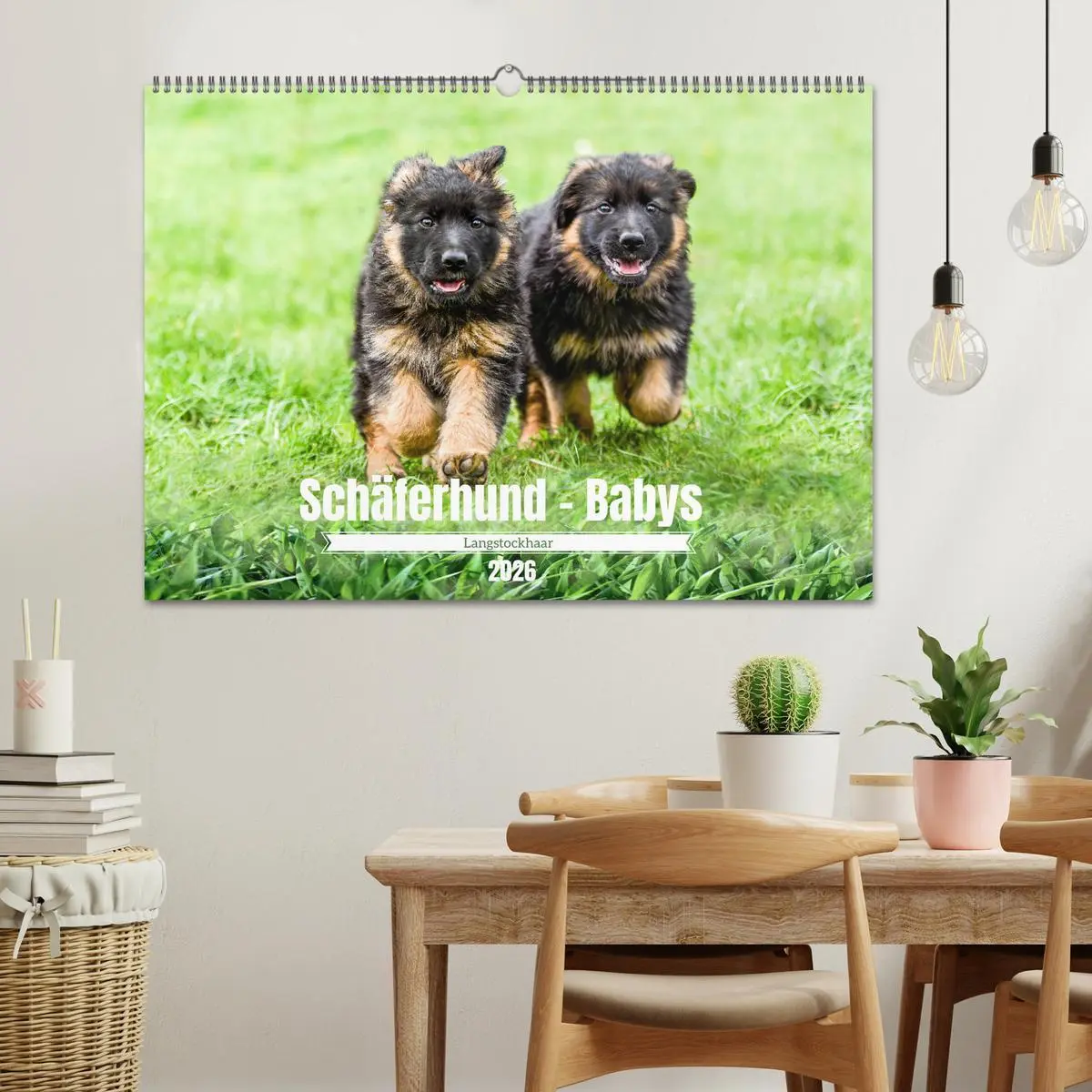 Bild: 9783457517598 | Langstockhaar - Schäferhund - Babys (Wandkalender 2026 DIN A2...