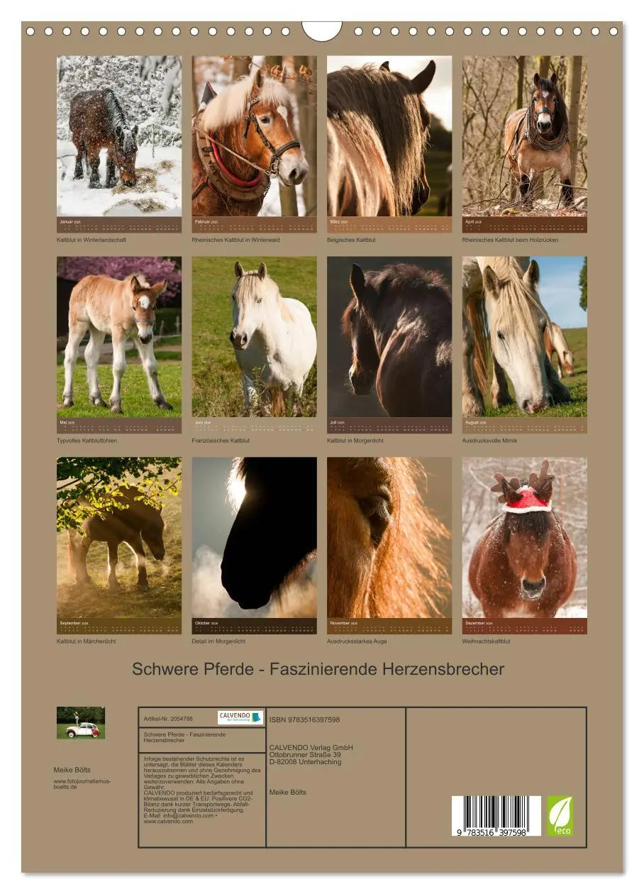 Bild: 9783516397598 | Schwere Pferde - Faszinierende Herzensbrecher (Wandkalender 2026...