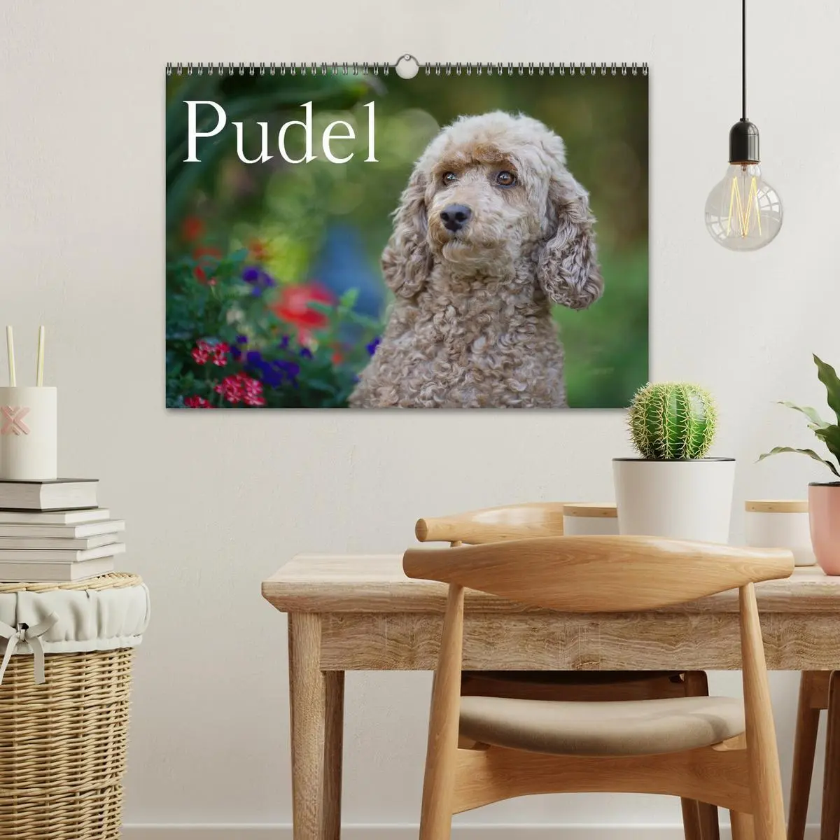 Bild: 9783516147698 | Pudel (Wandkalender 2026 DIN A3 quer), CALVENDO Monatskalender | Noack
