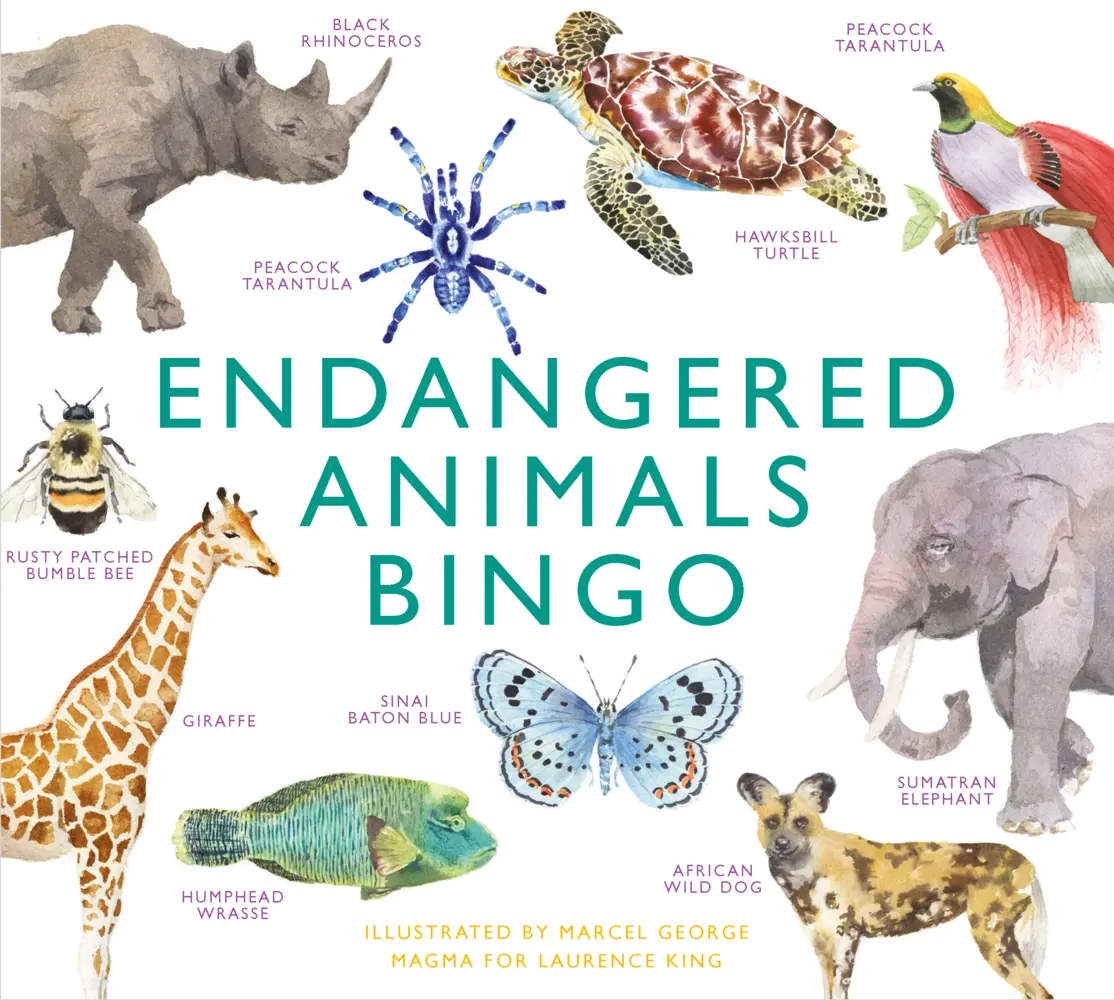Cover: 9781913947798 | Endangered Animals Bingo | Lizzie Williams | Spiel | Brettspiel | 2022