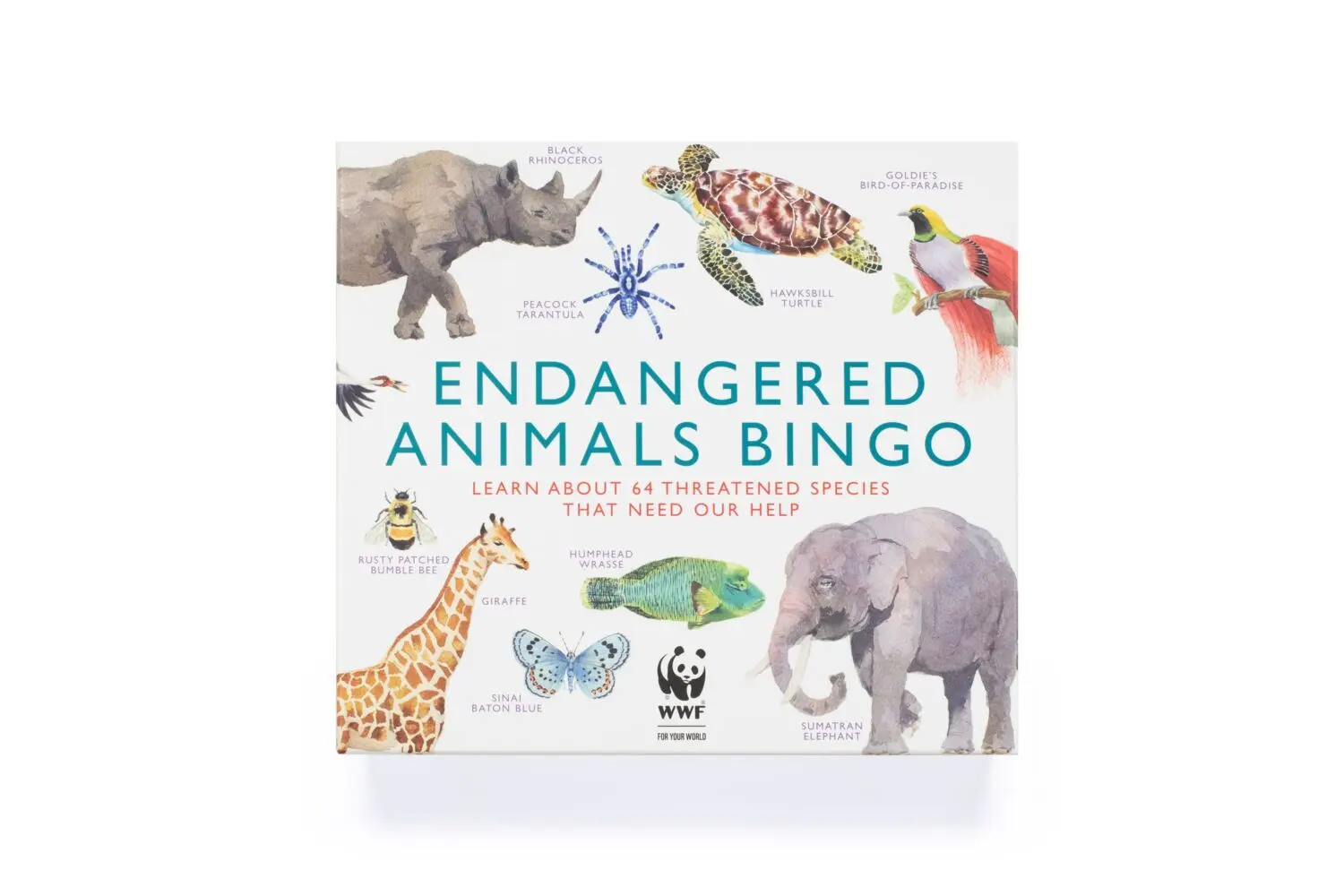 Bild: 9781913947798 | Endangered Animals Bingo | Lizzie Williams | Spiel | Brettspiel | 2022