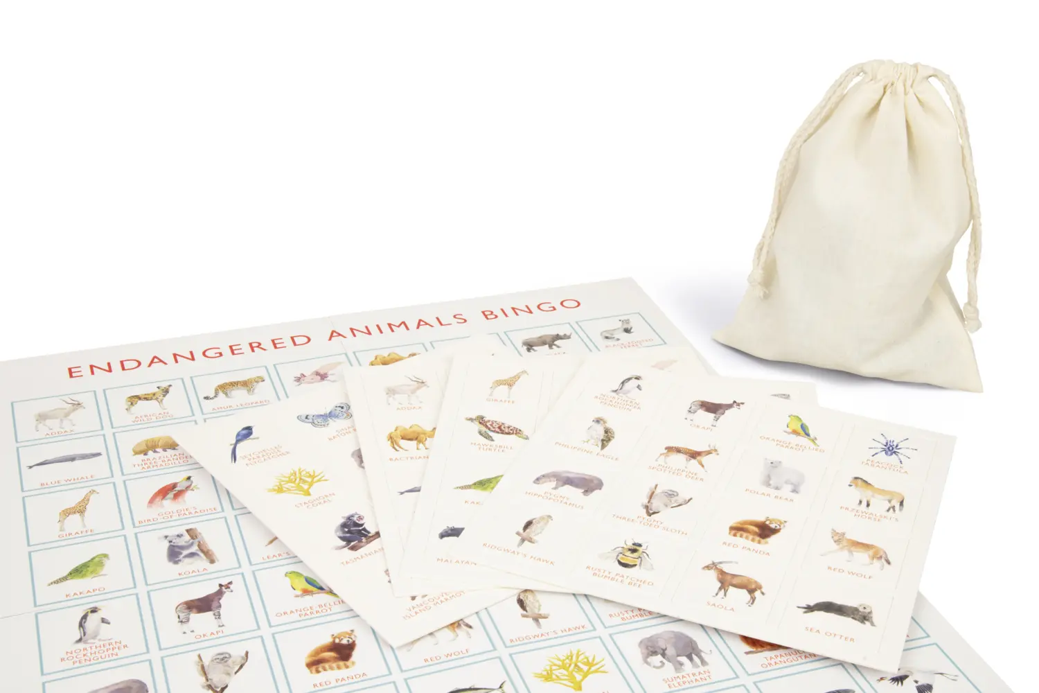 Bild: 9781913947798 | Endangered Animals Bingo | Lizzie Williams | Spiel | Brettspiel | 2022
