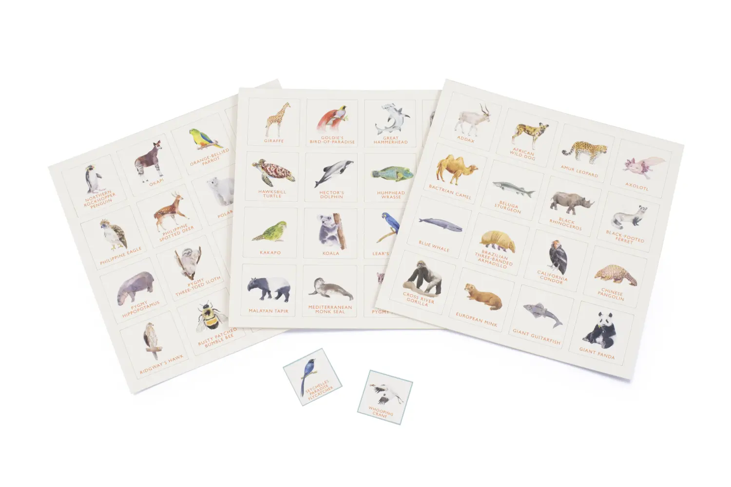 Bild: 9781913947798 | Endangered Animals Bingo | Lizzie Williams | Spiel | Brettspiel | 2022