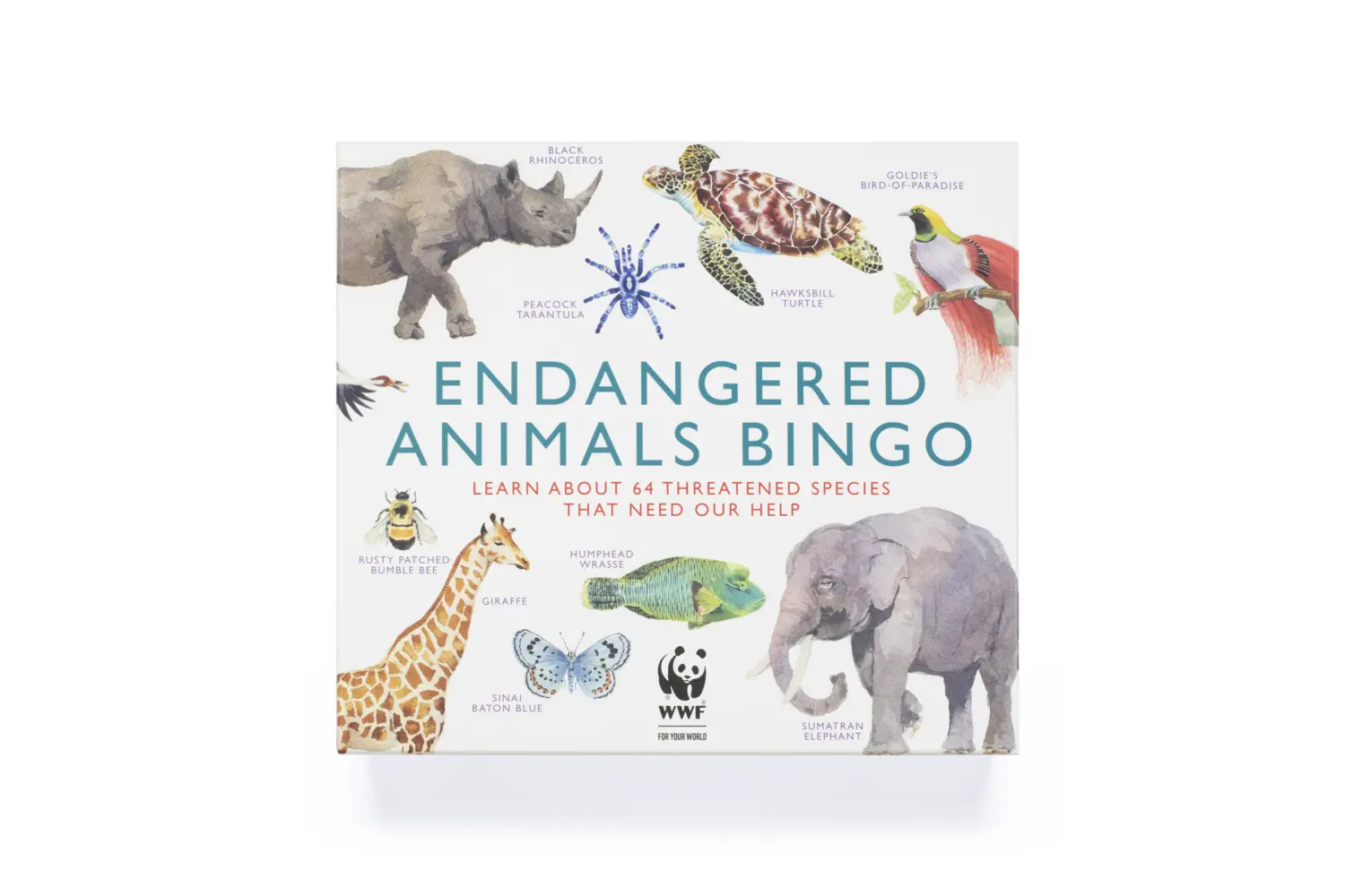Bild: 9781913947798 | Endangered Animals Bingo | Lizzie Williams | Spiel | Brettspiel | 2022
