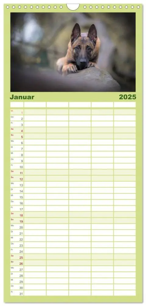 Bild: 9783457117798 | Familienplaner 2025 - Belgischer Schäferhund - Der Malinois mit 5...