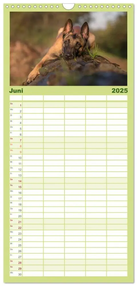 Bild: 9783457117798 | Familienplaner 2025 - Belgischer Schäferhund - Der Malinois mit 5...