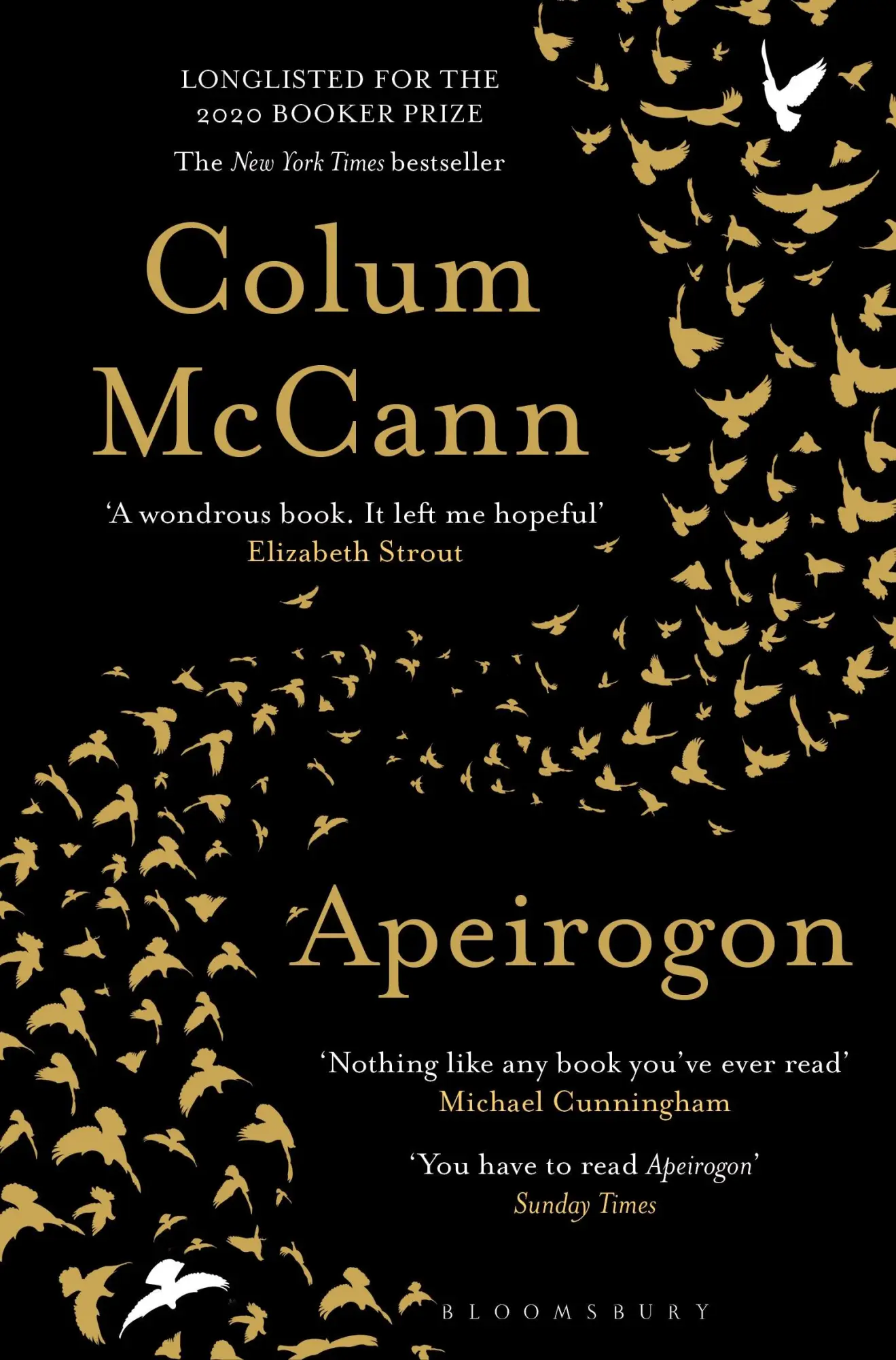 Cover: 9781526607898 | Apeirogon | A Novel | Colum McCann | Taschenbuch | 480 S. | Englisch